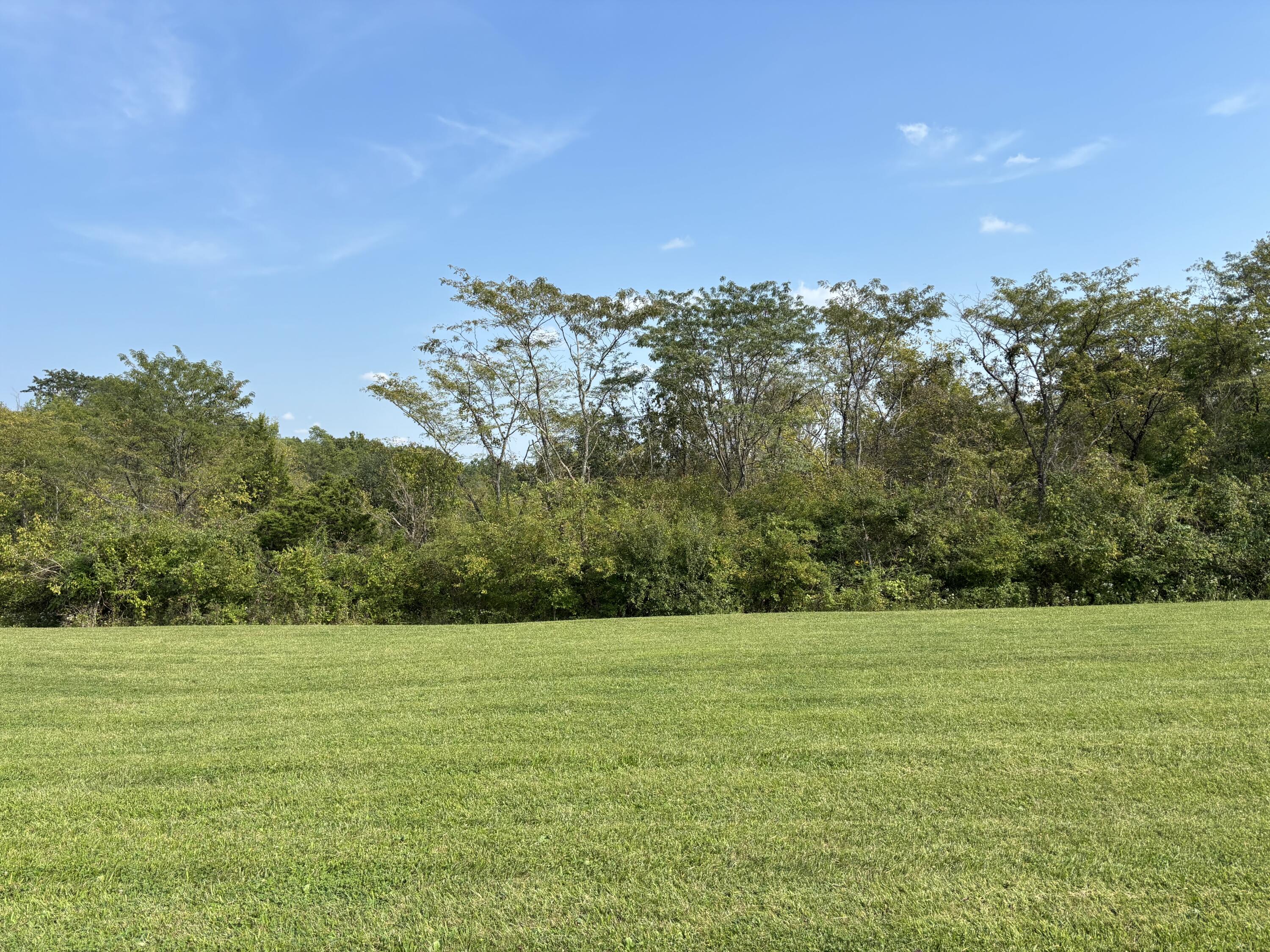 0 0 Hogg Ridge Property Photo 7
