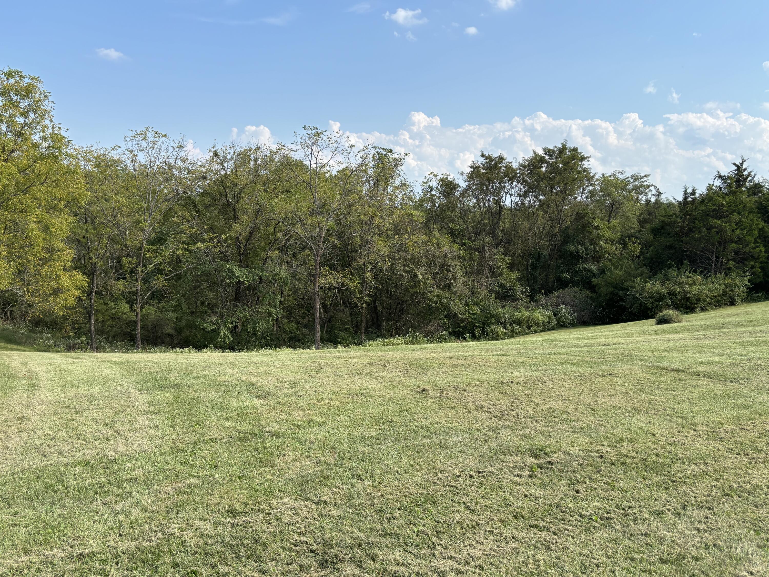 0 0 Hogg Ridge Property Photo 8