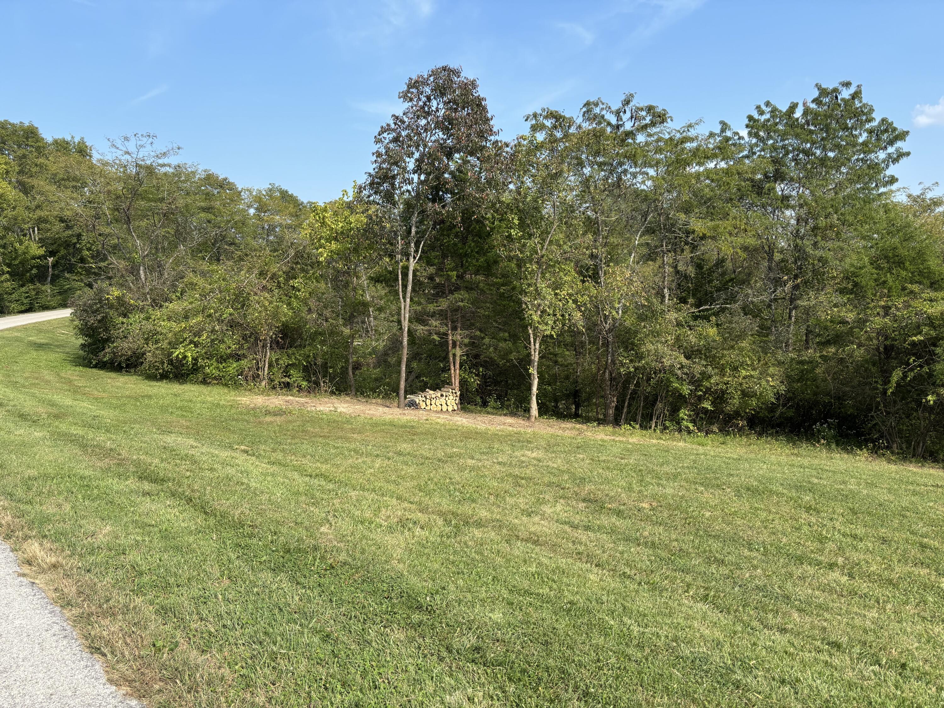 0 0 Hogg Ridge Property Photo 10