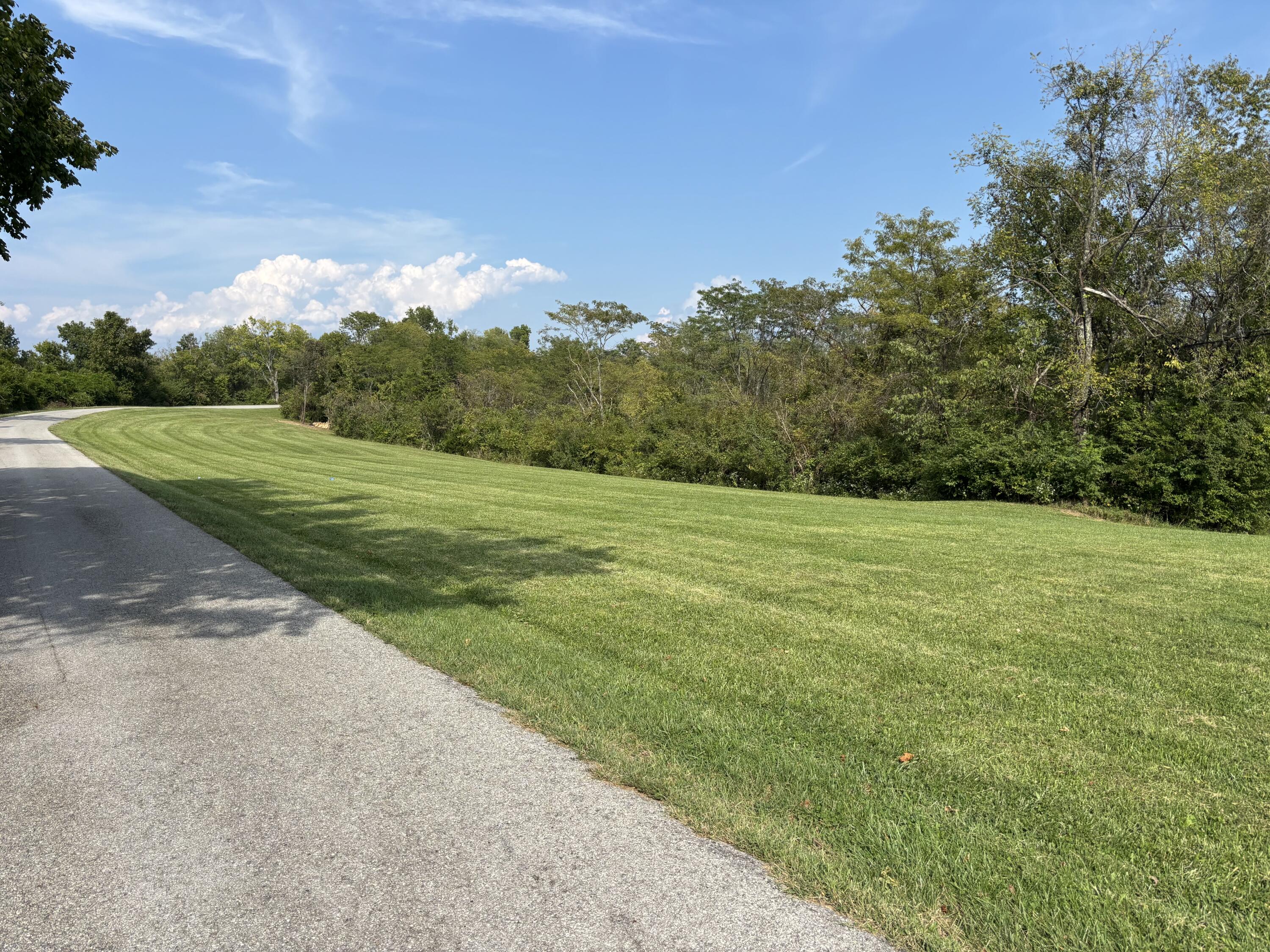 0 0 Hogg Ridge Property Photo 14