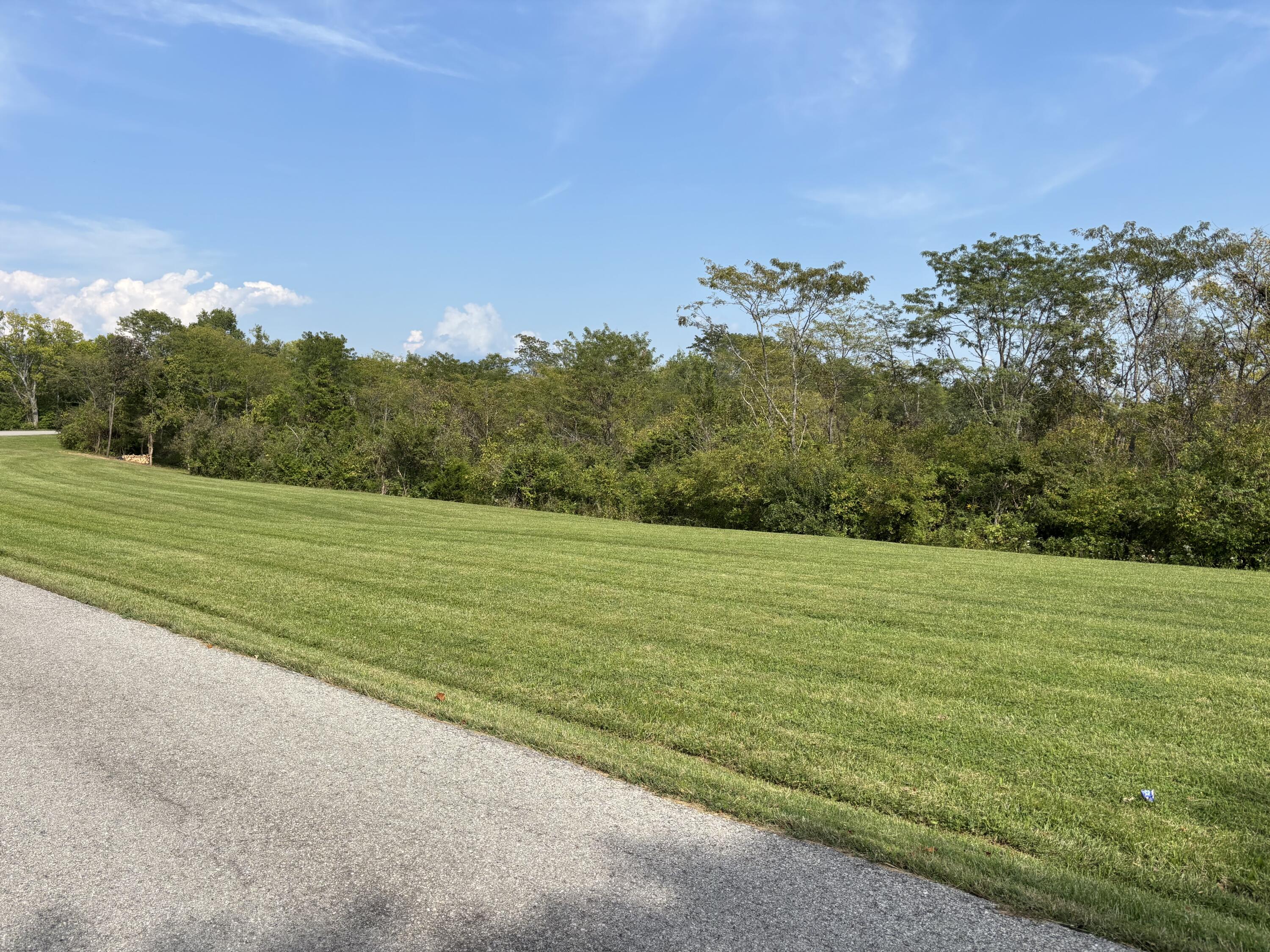 0 0 Hogg Ridge Property Photo 17