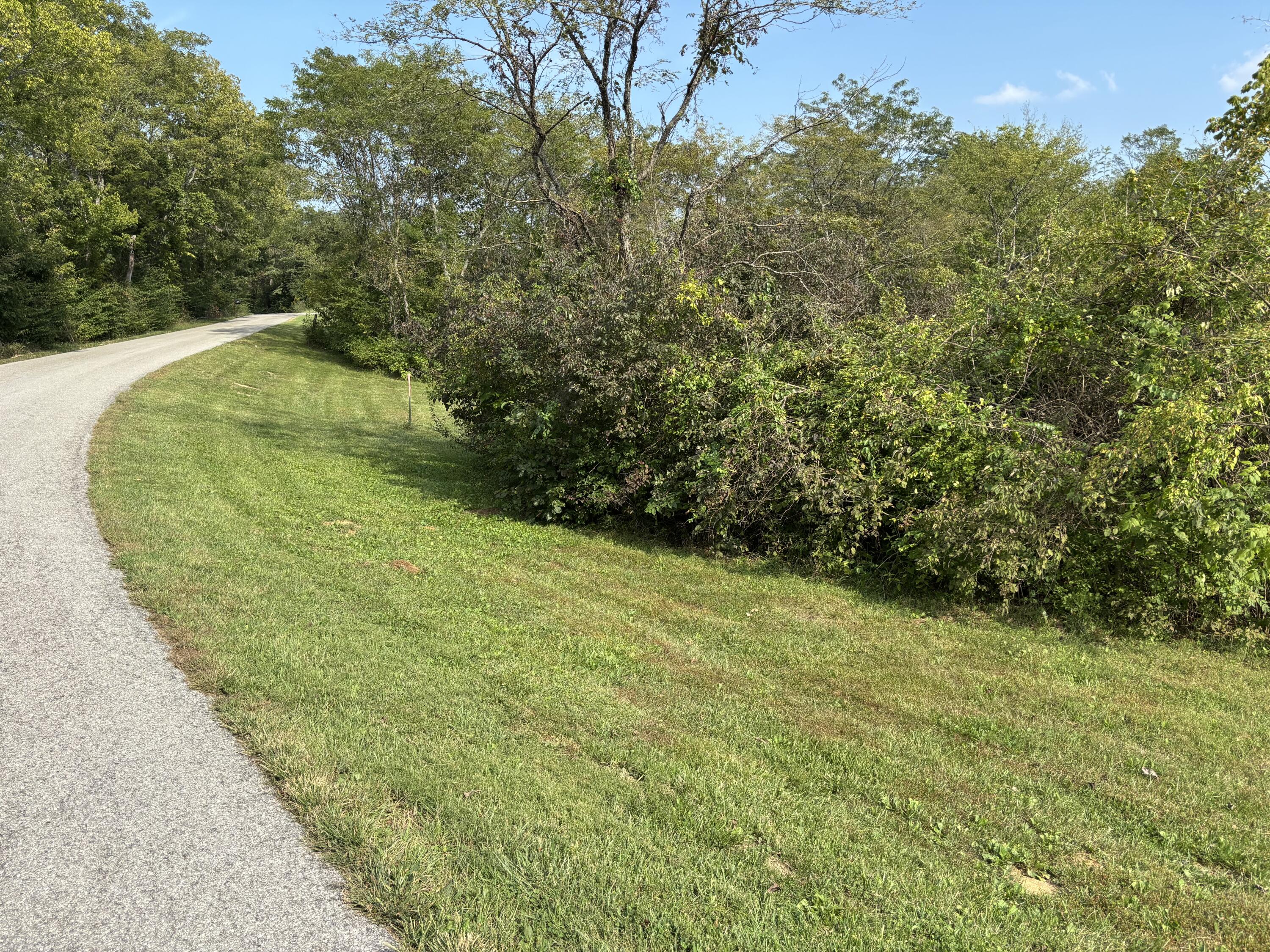 0 0 Hogg Ridge Property Photo 34