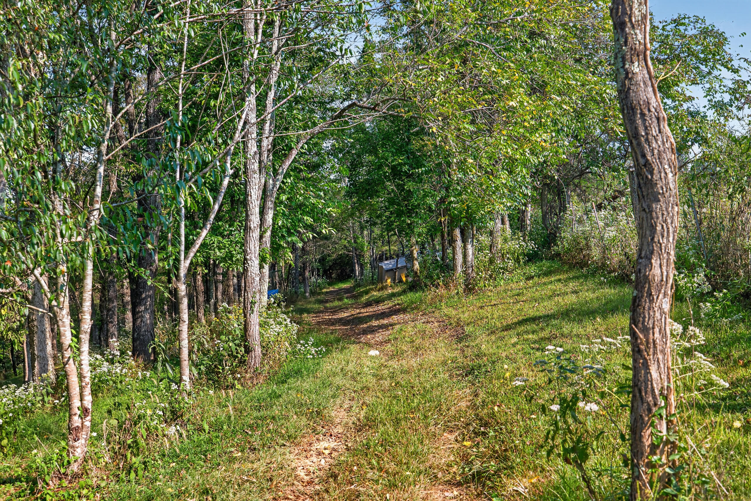 1394 Aaron Barnett Road Property Photo 35
