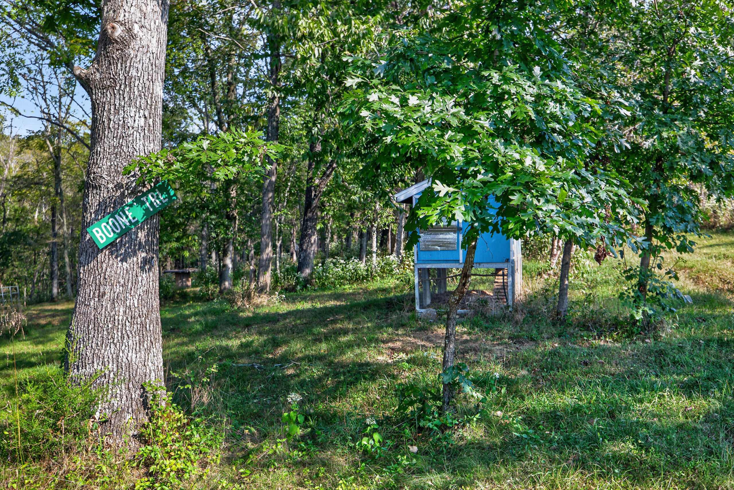1394 Aaron Barnett Road Property Photo 36