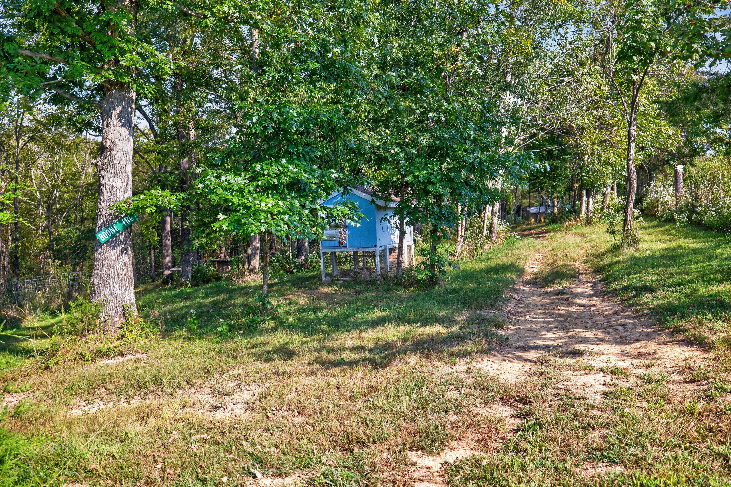 1394 Aaron Barnett Road Property Photo 37