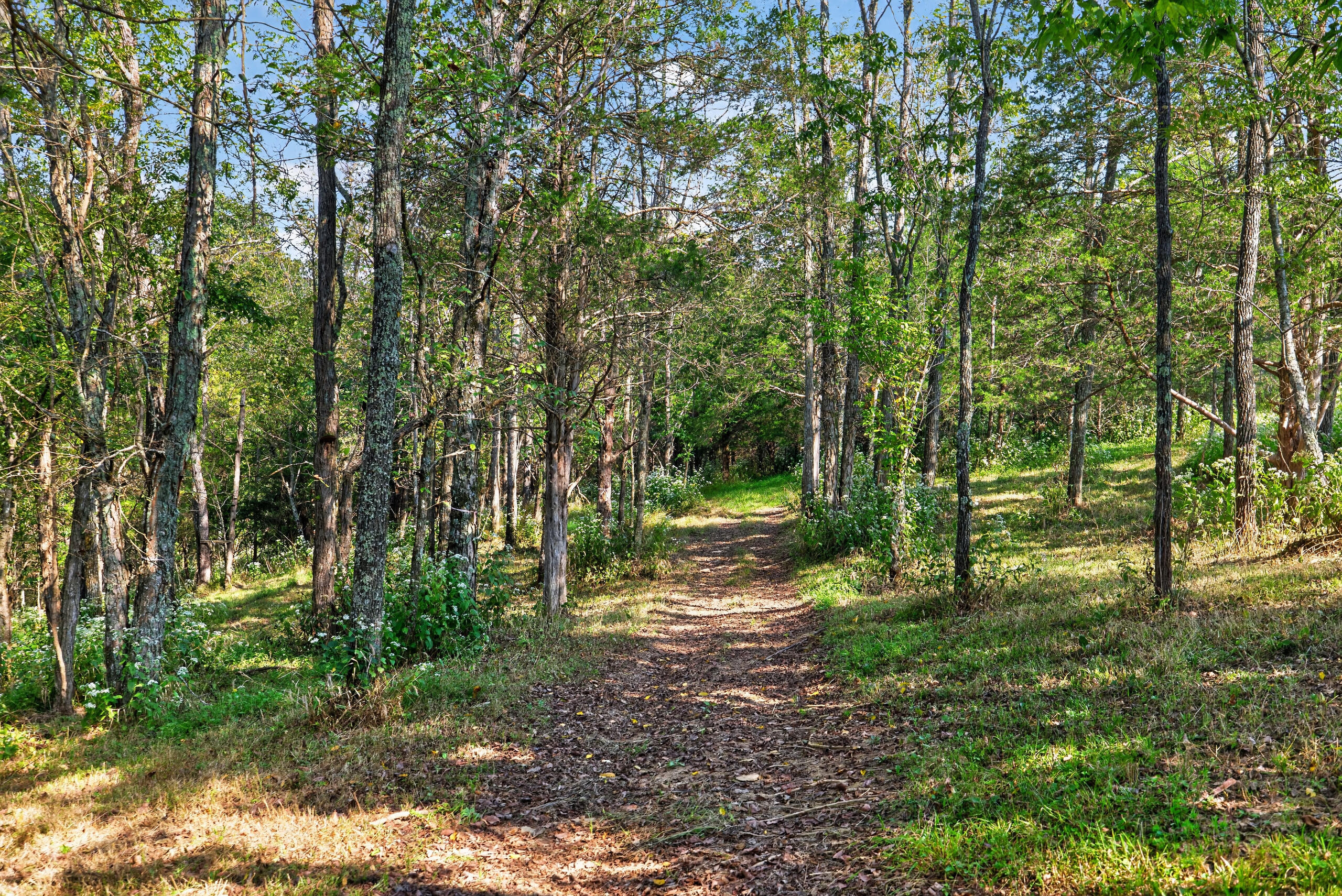 1394 Aaron Barnett Road Property Photo 38