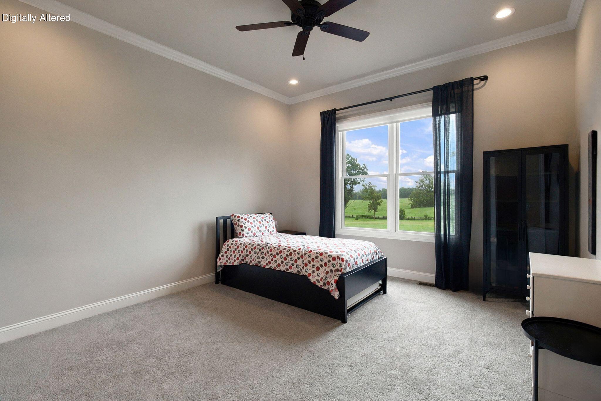157 Doe Valley Property Photo 39