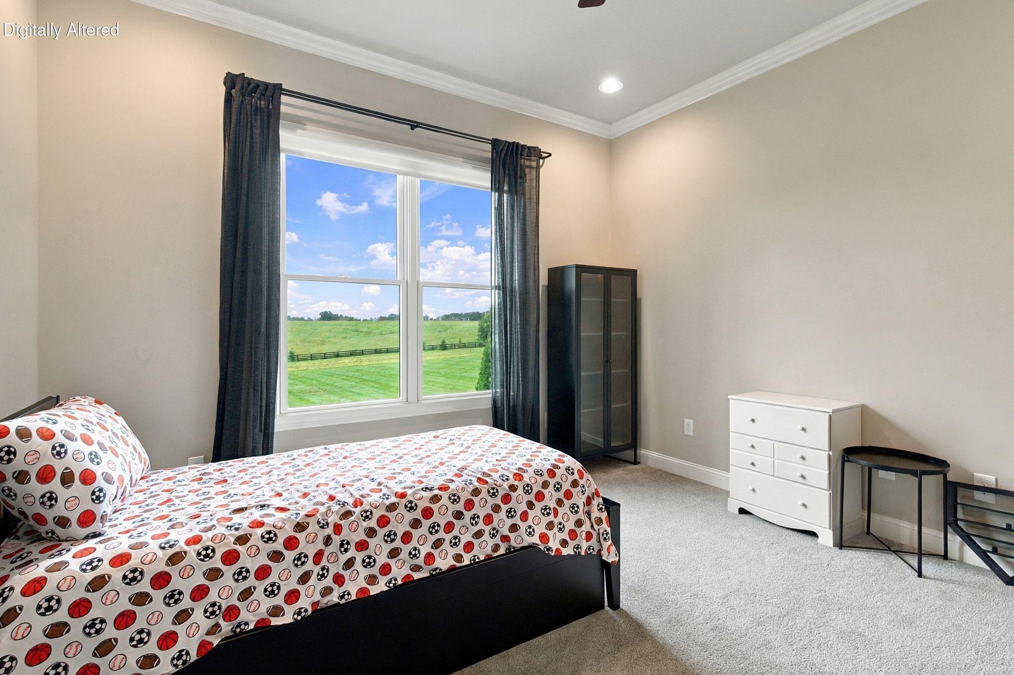 157 Doe Valley Property Photo 40