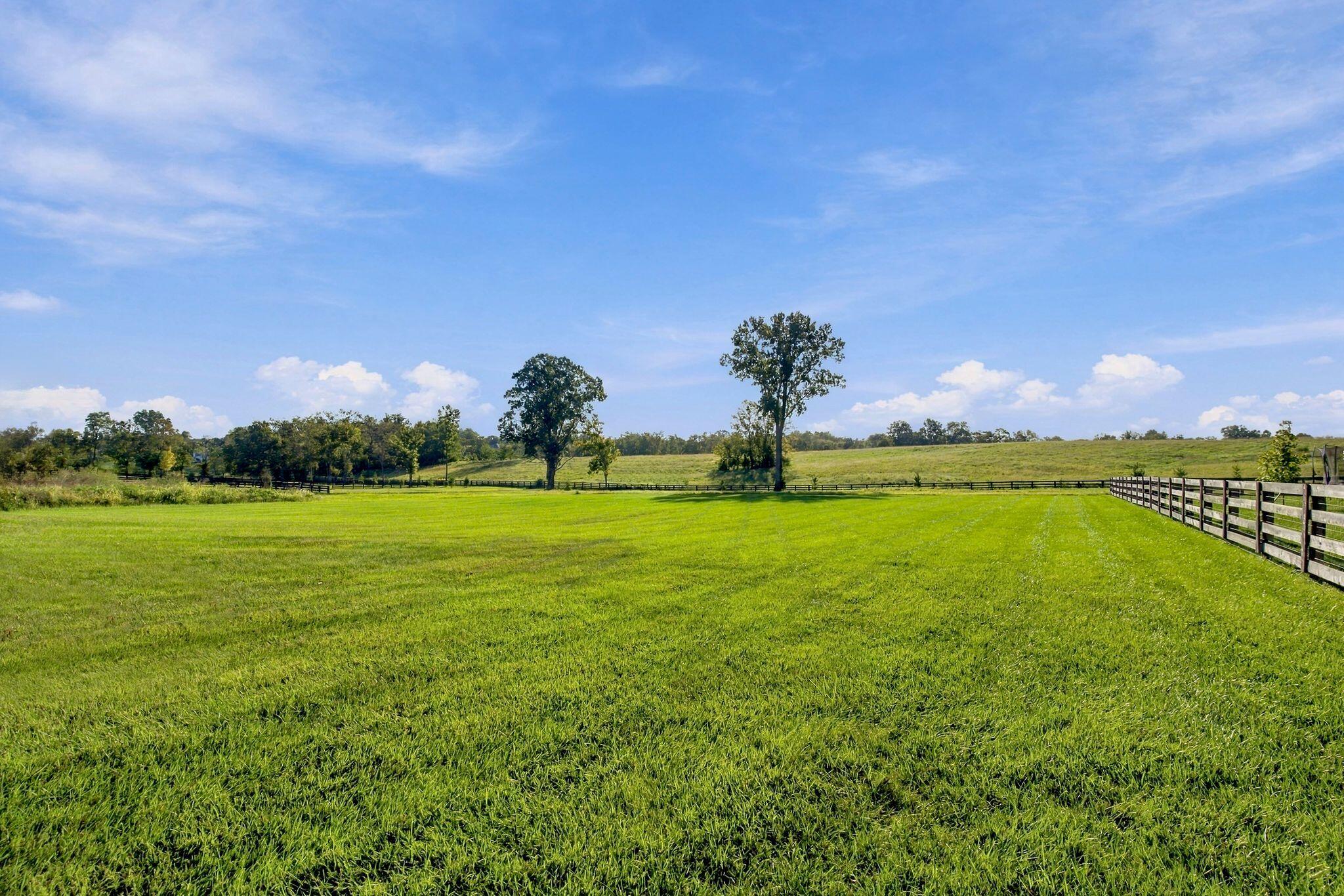 157 Doe Valley Property Photo 77