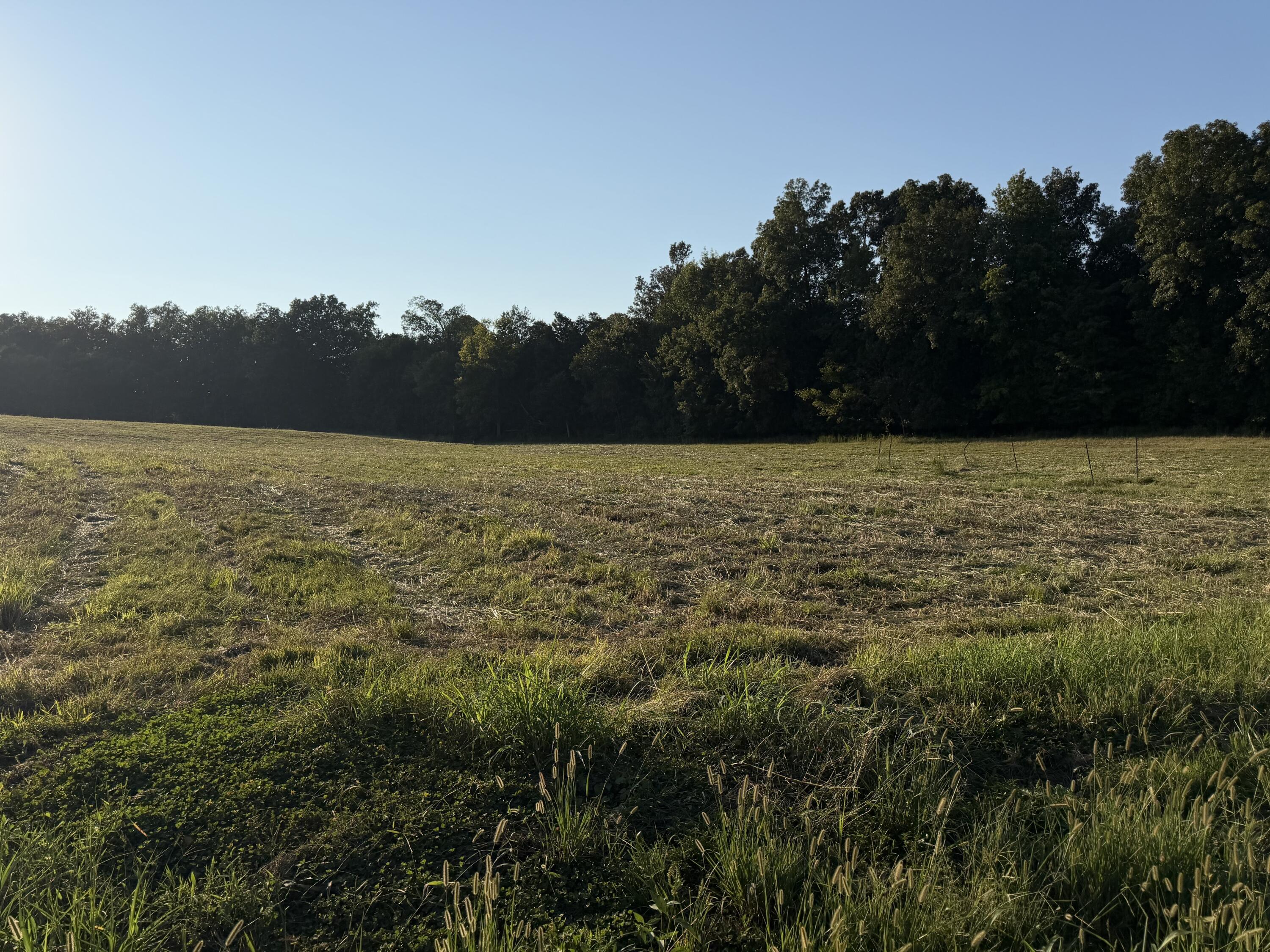 1456 Glen Chapel Road Property Photo 8
