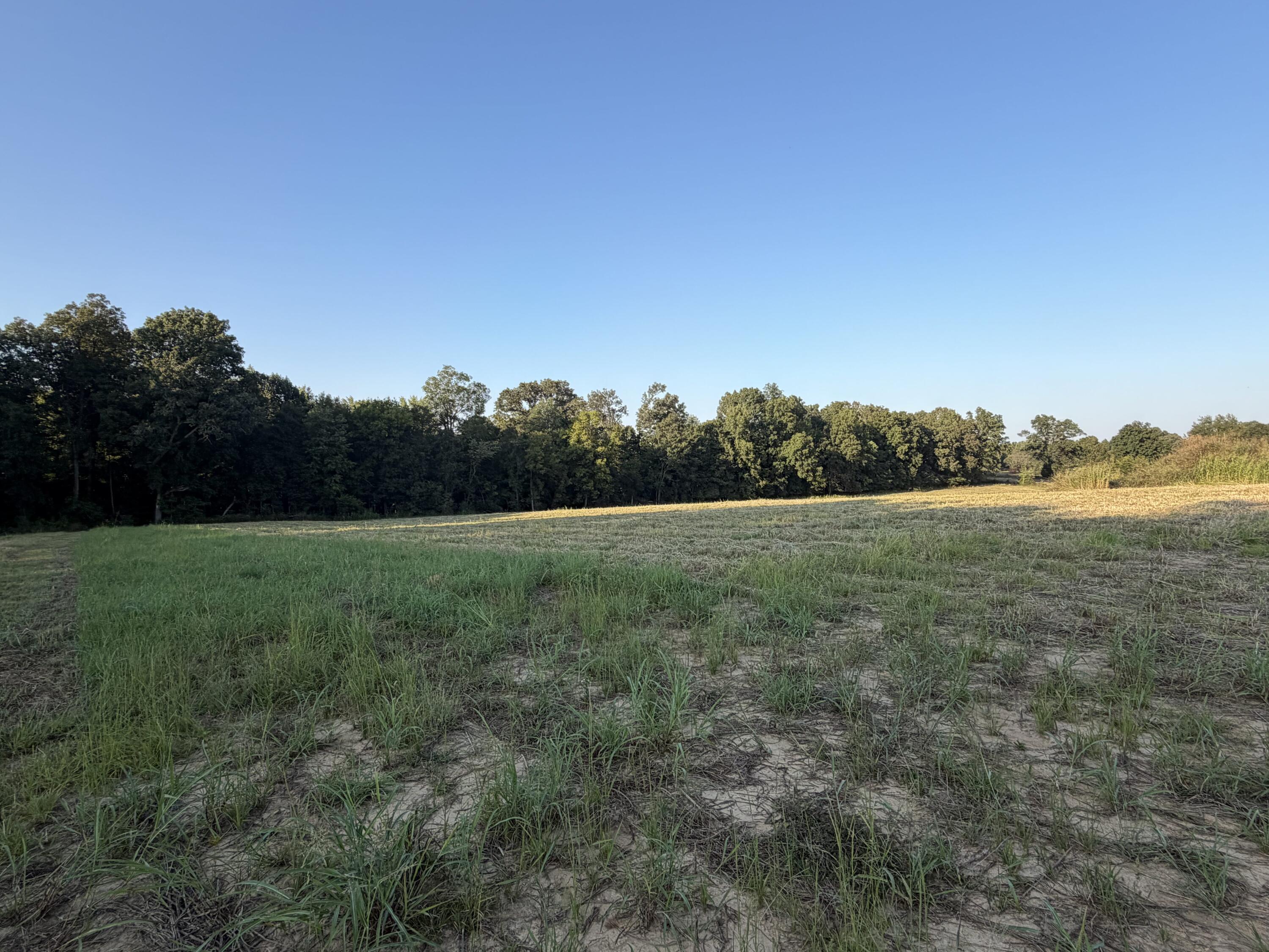 1456 Glen Chapel Road Property Photo 17