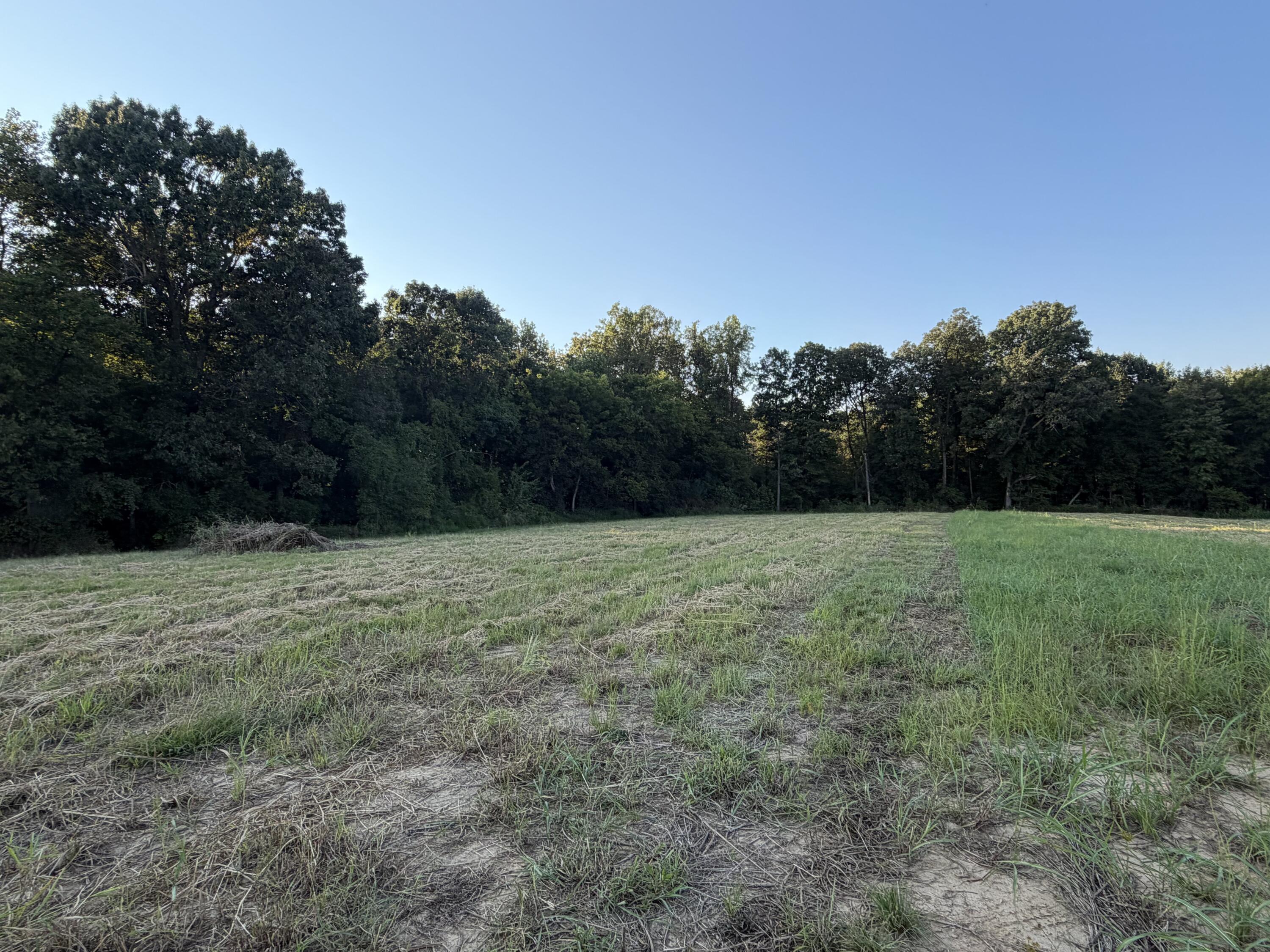1456 Glen Chapel Road Property Photo 18