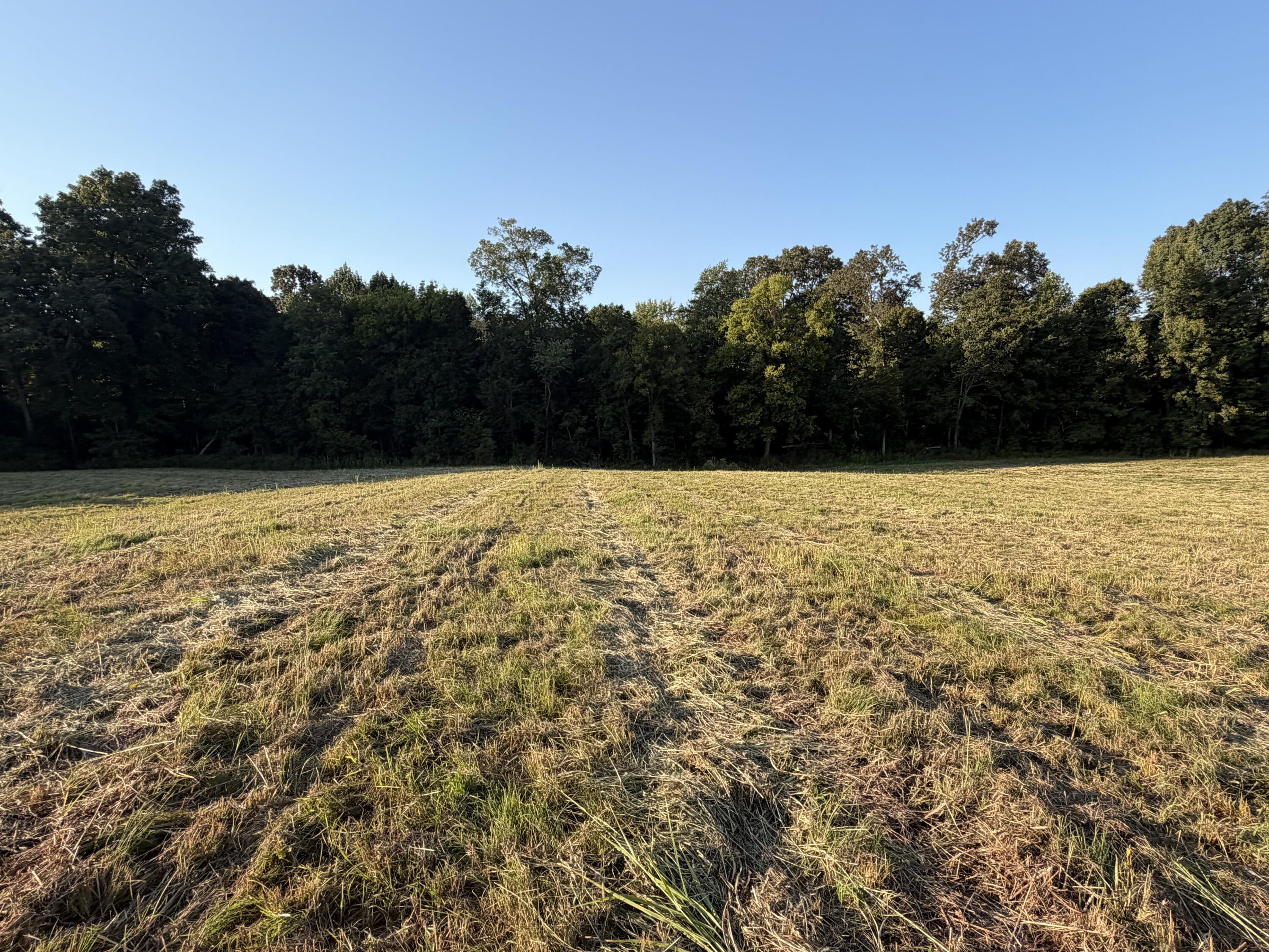 1456 Glen Chapel Road Property Photo 21