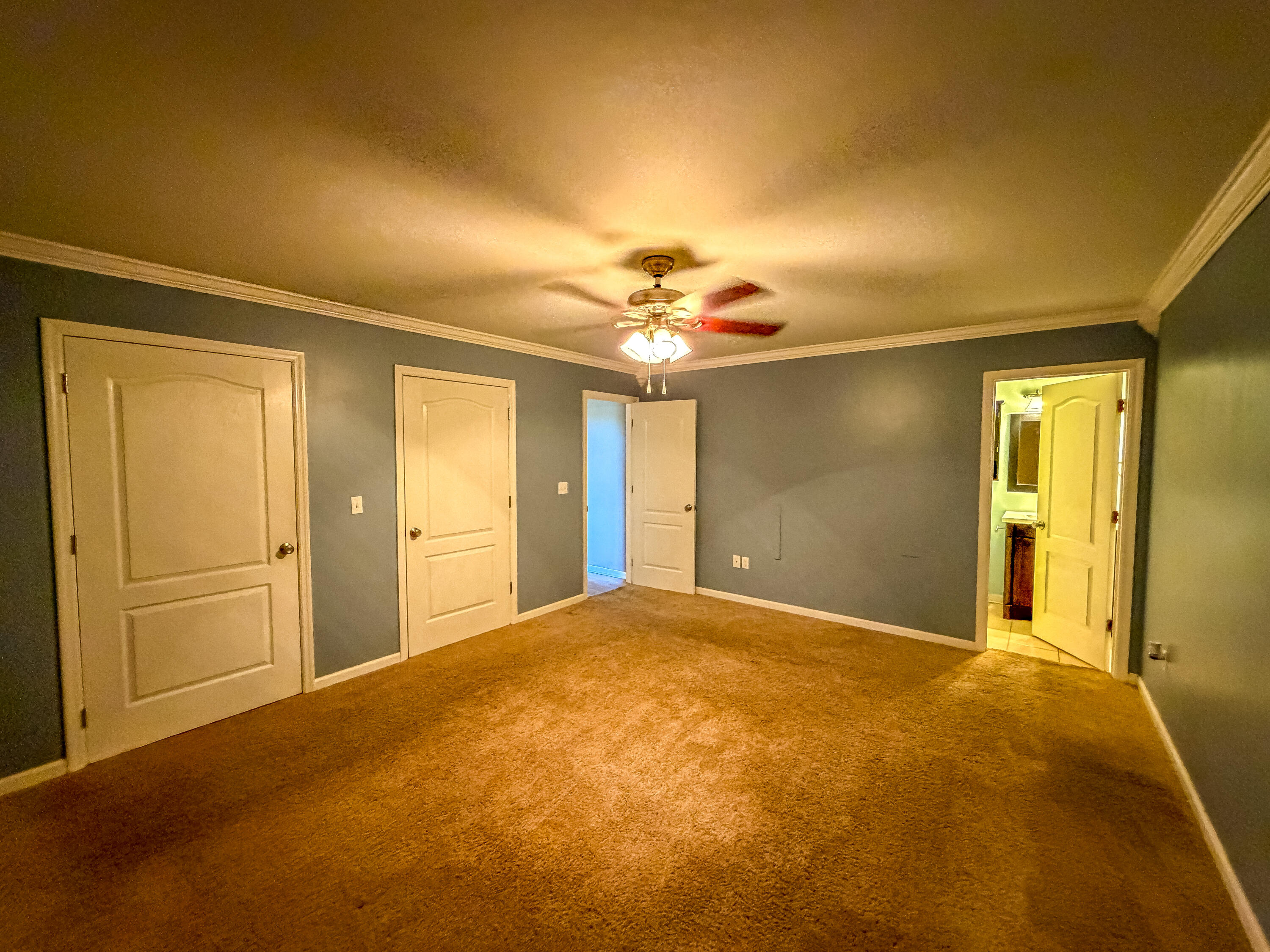 163 Herchel Road Property Photo 19