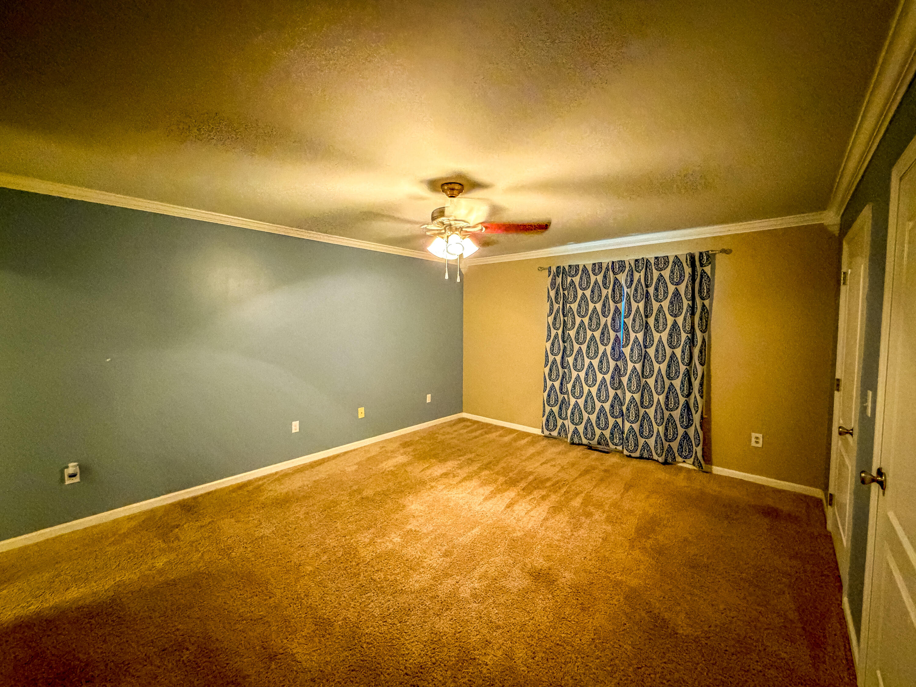 163 Herchel Road Property Photo 20