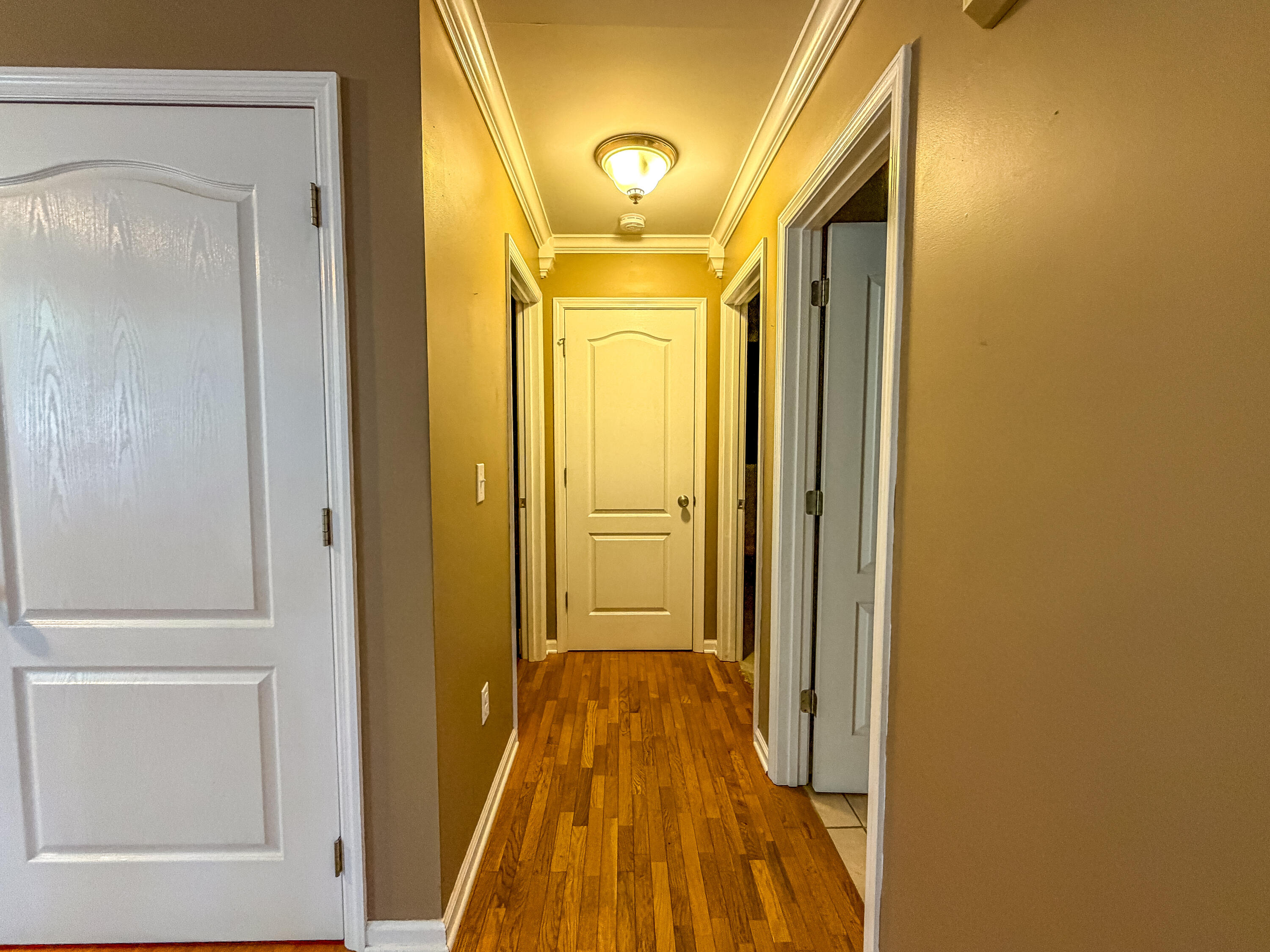 163 Herchel Road Property Photo 22