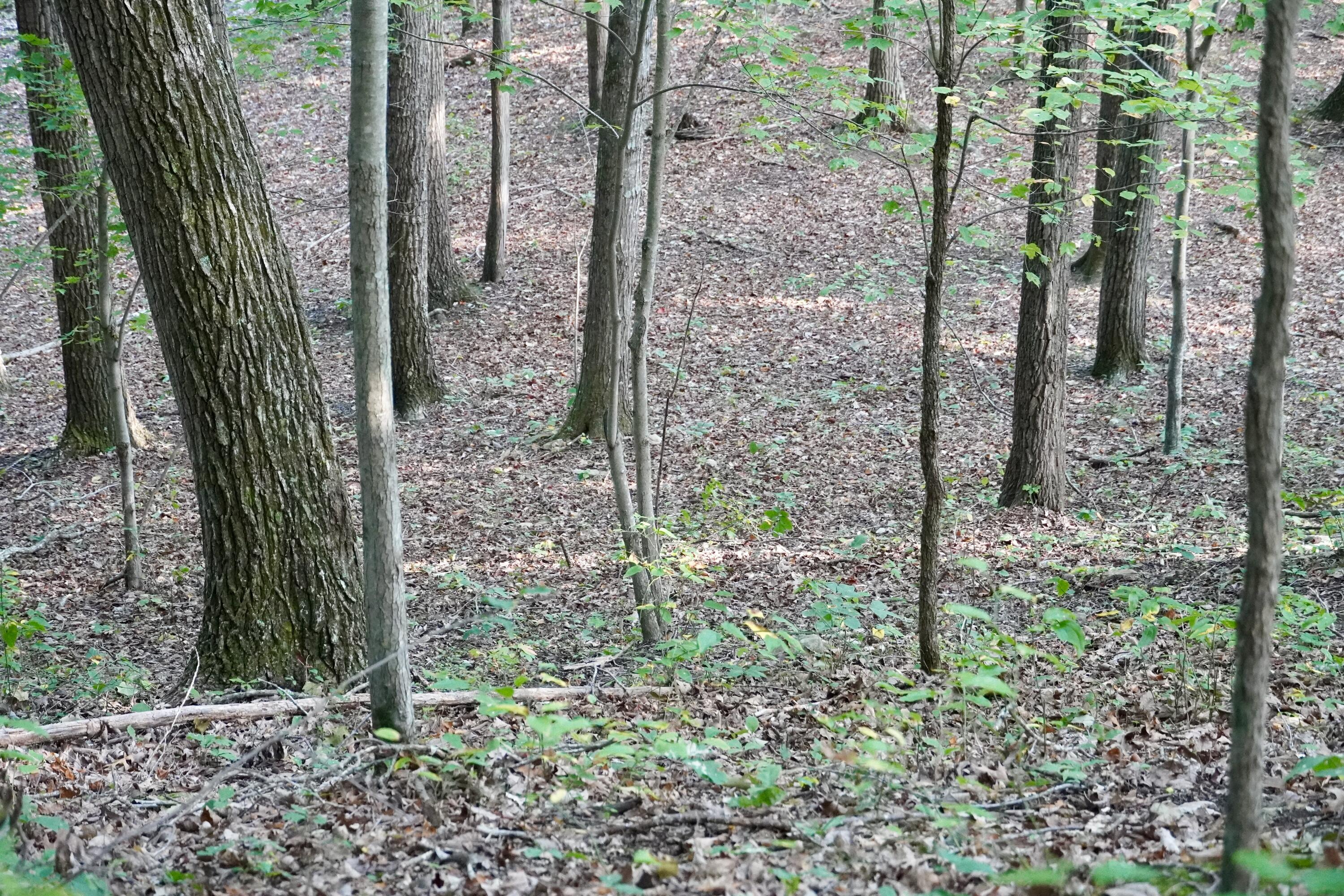 4100 Ky-511 Property Photo 1