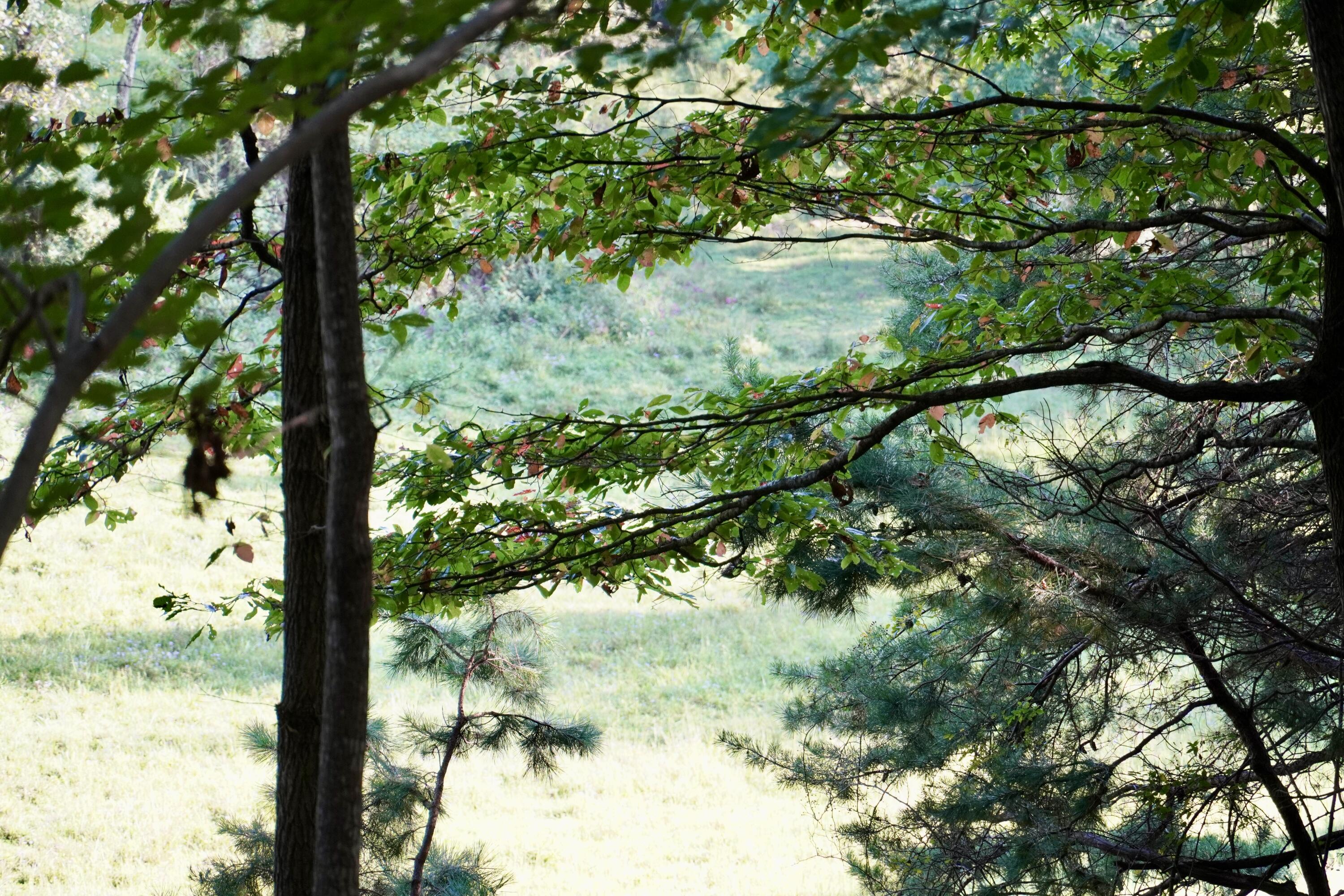 4100 Ky-511 Property Photo 3
