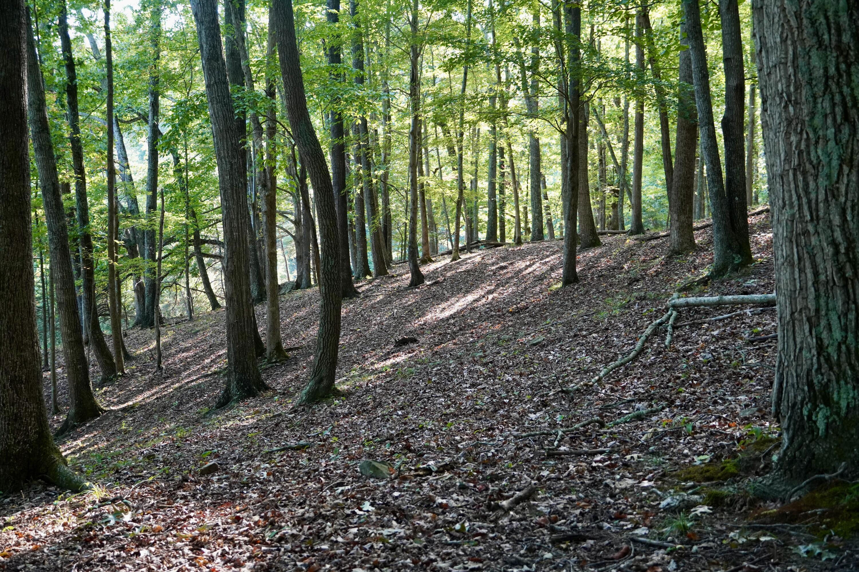 4100 Ky-511 Property Photo 4