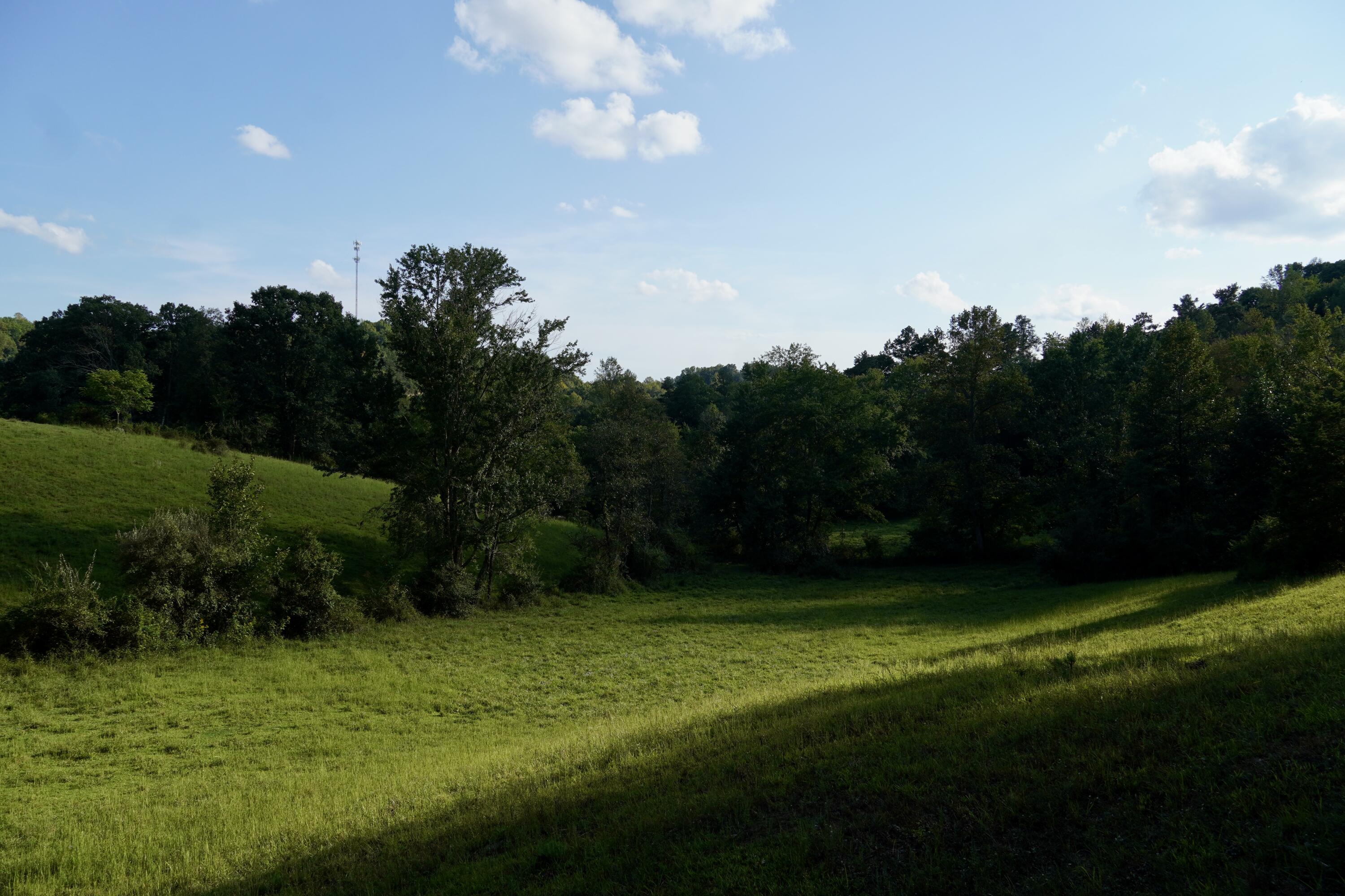 4100 Ky-511 Property Photo 7