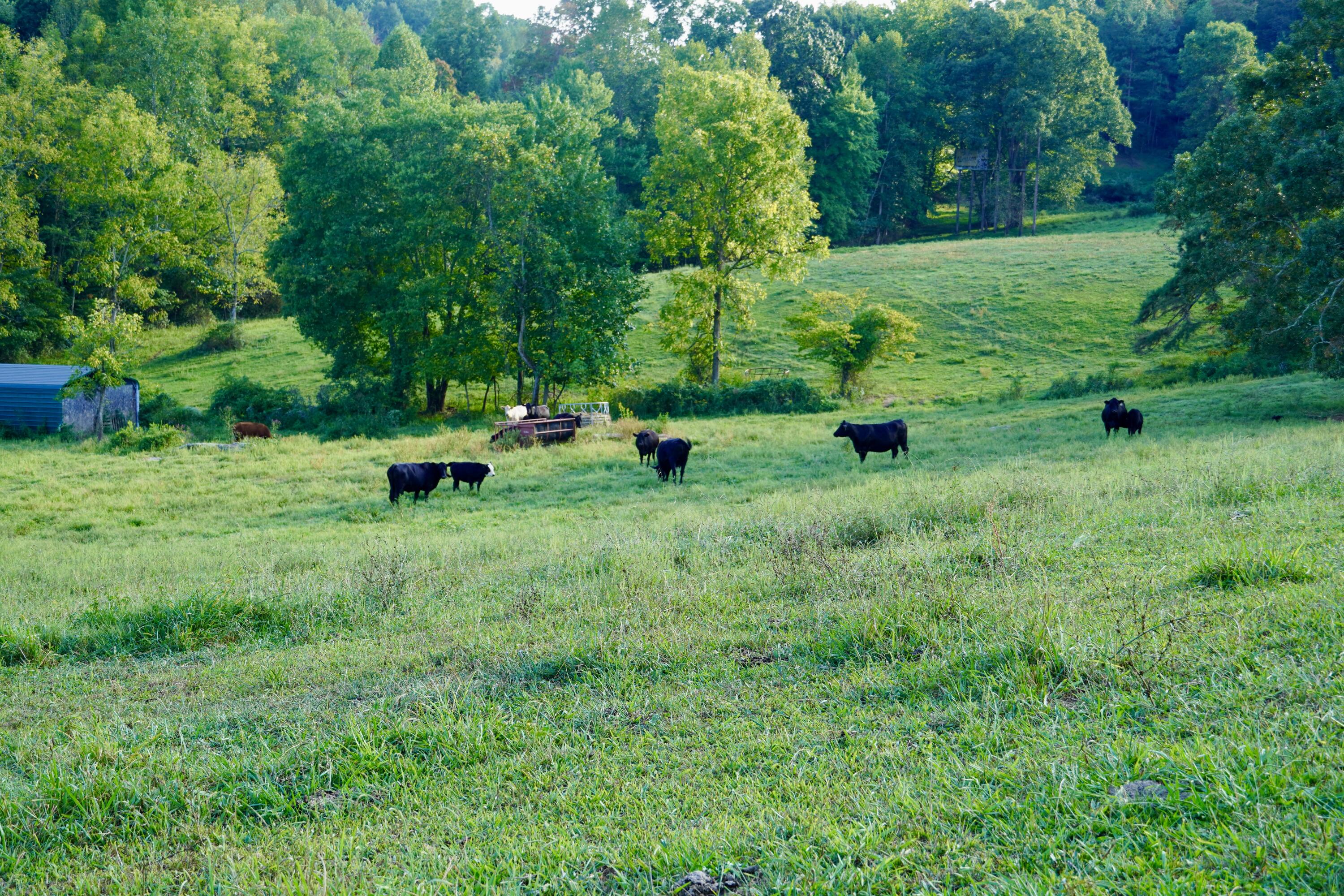 4100 Ky-511 Property Photo 9