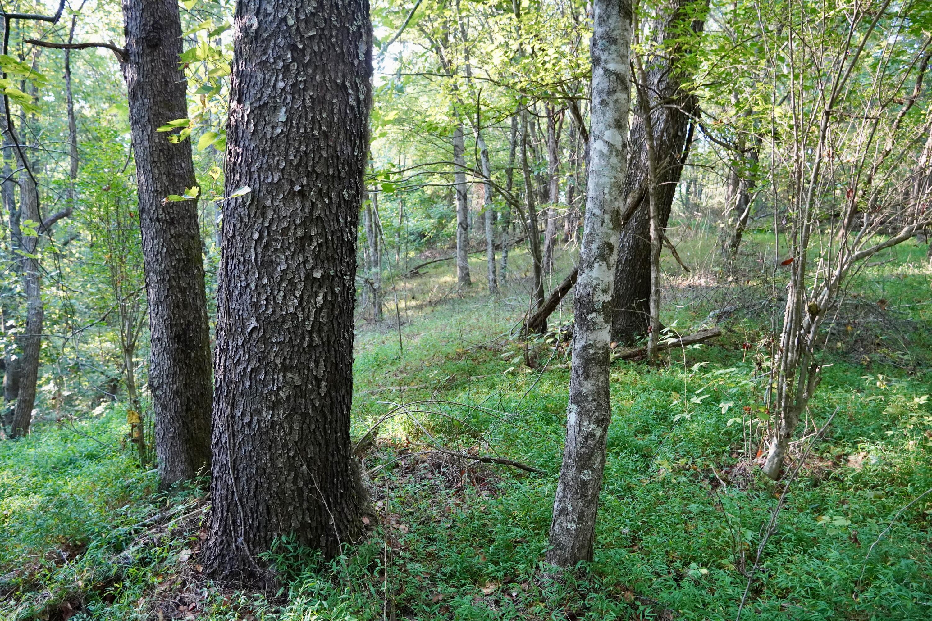 4100 Ky-511 Property Photo 10