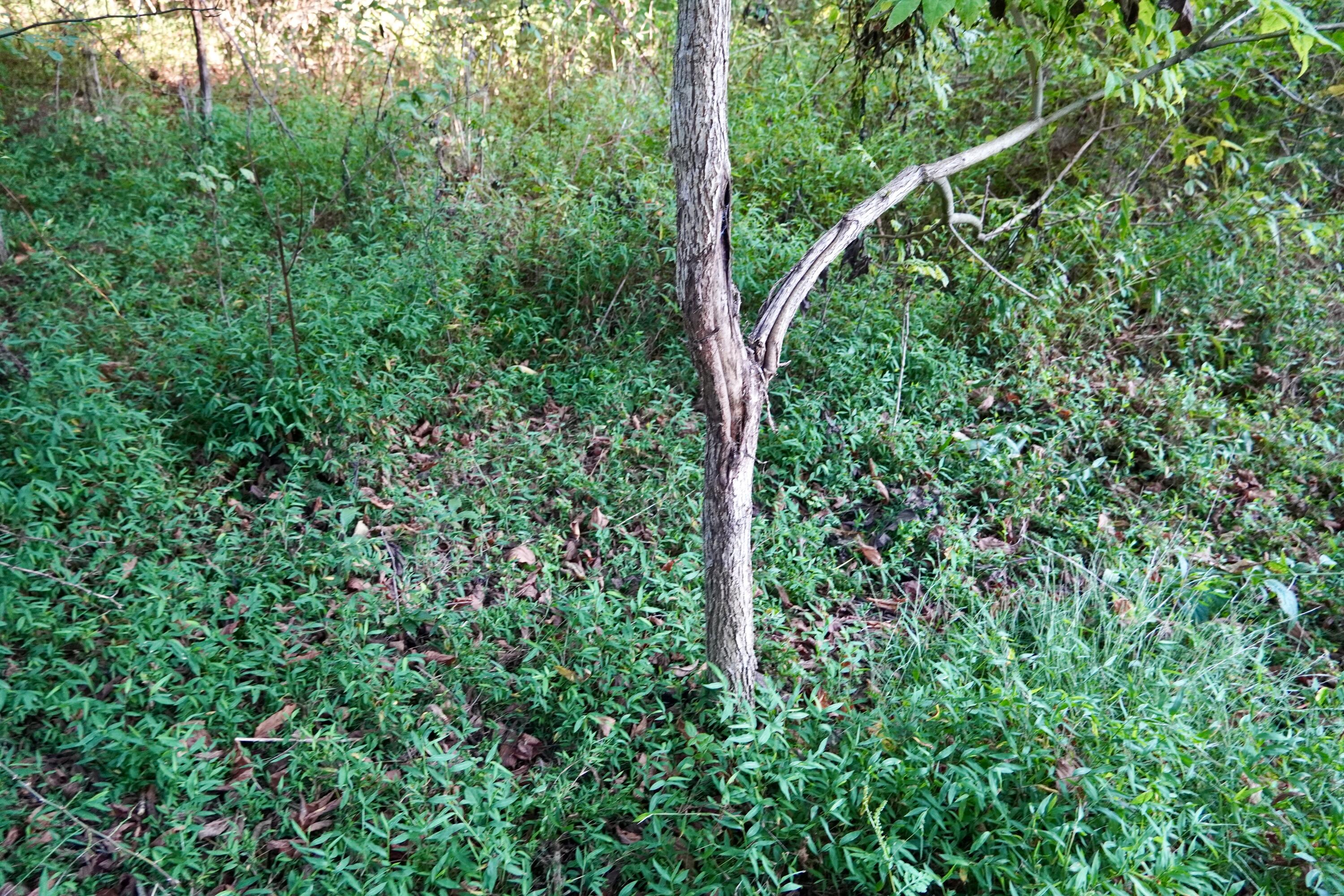 4100 Ky-511 Property Photo 11