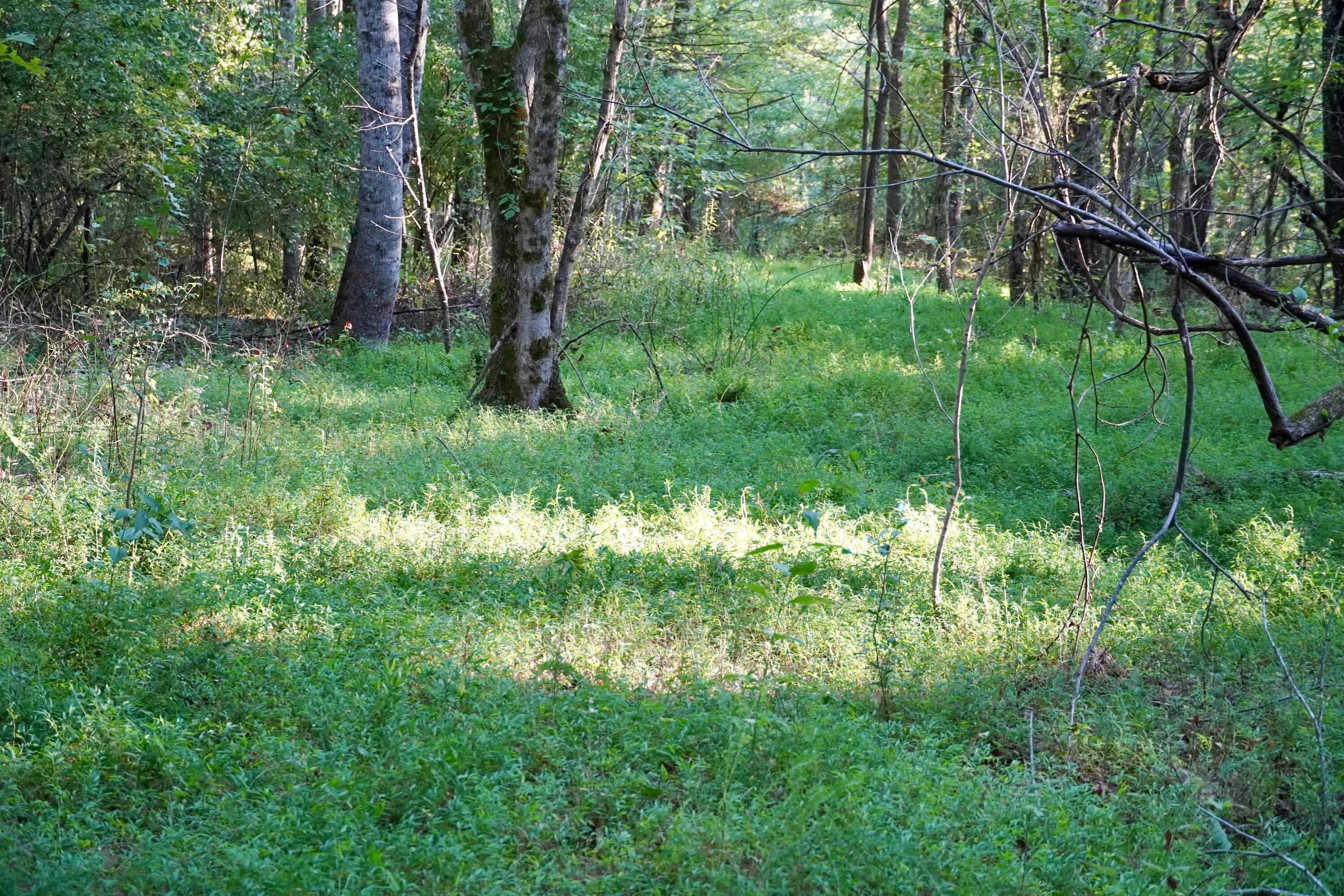 4100 Ky-511 Property Photo 12
