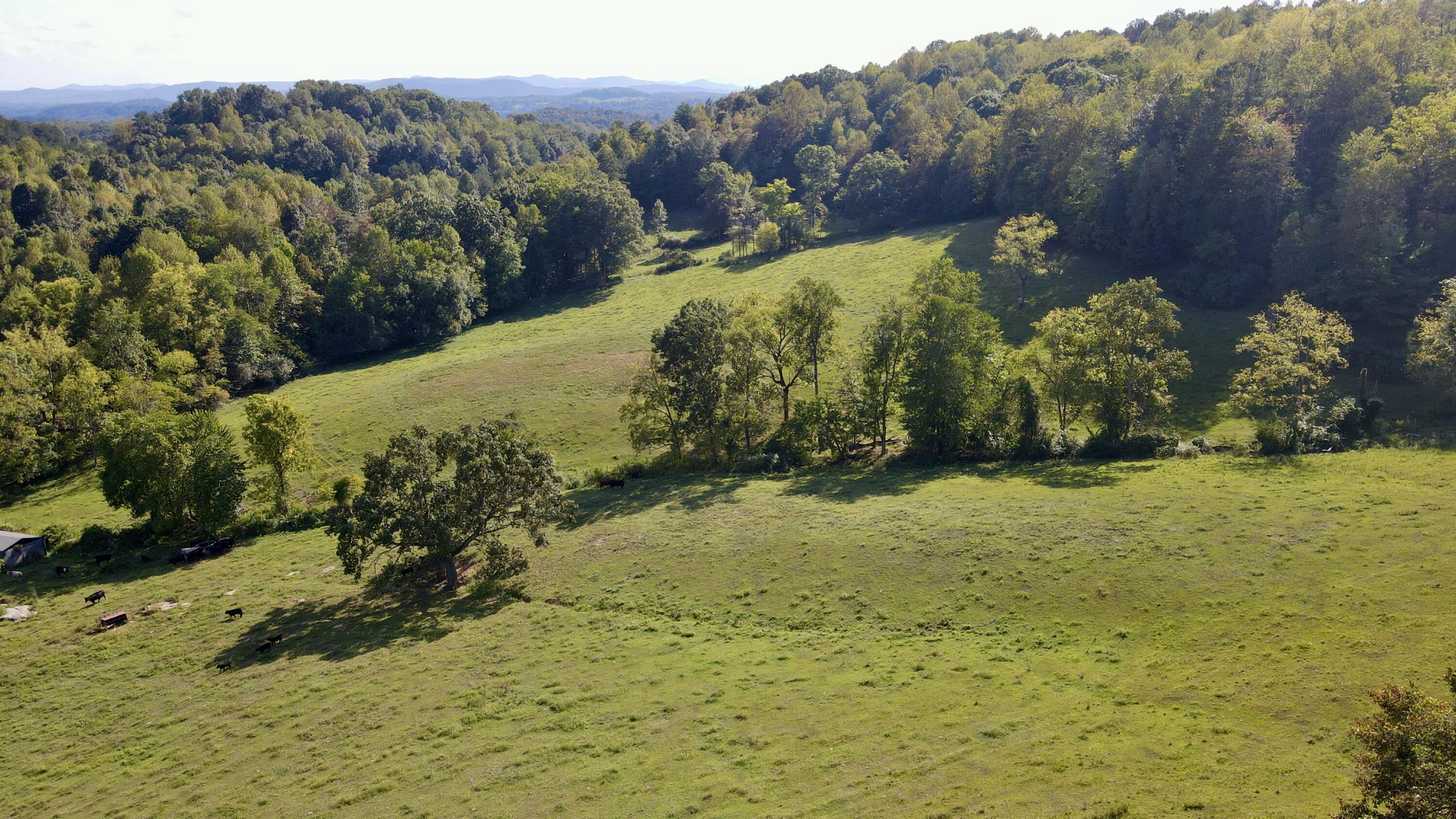 4100 Ky-511 Property Photo 14