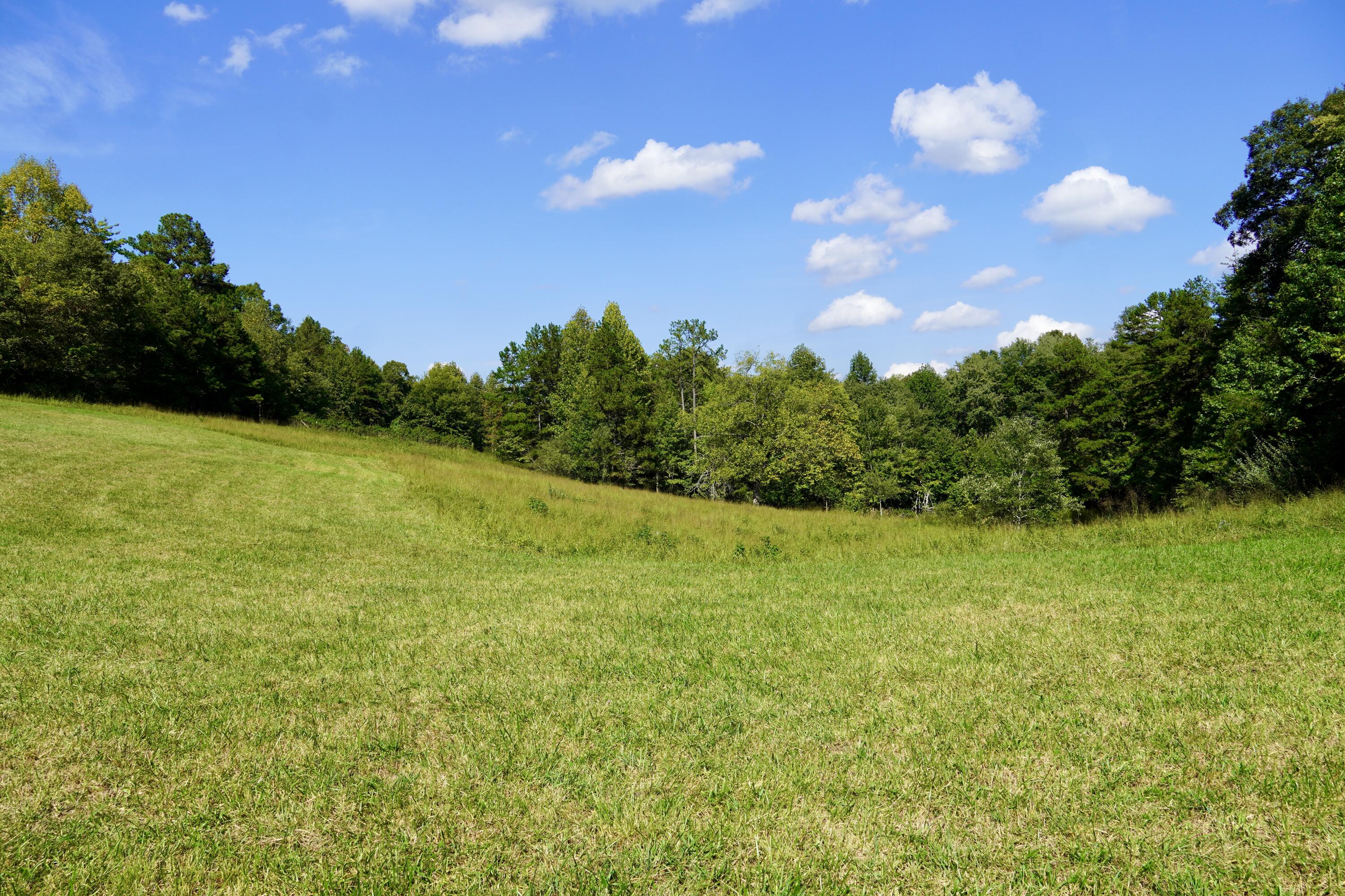 4100 Ky-511 Property Photo 18