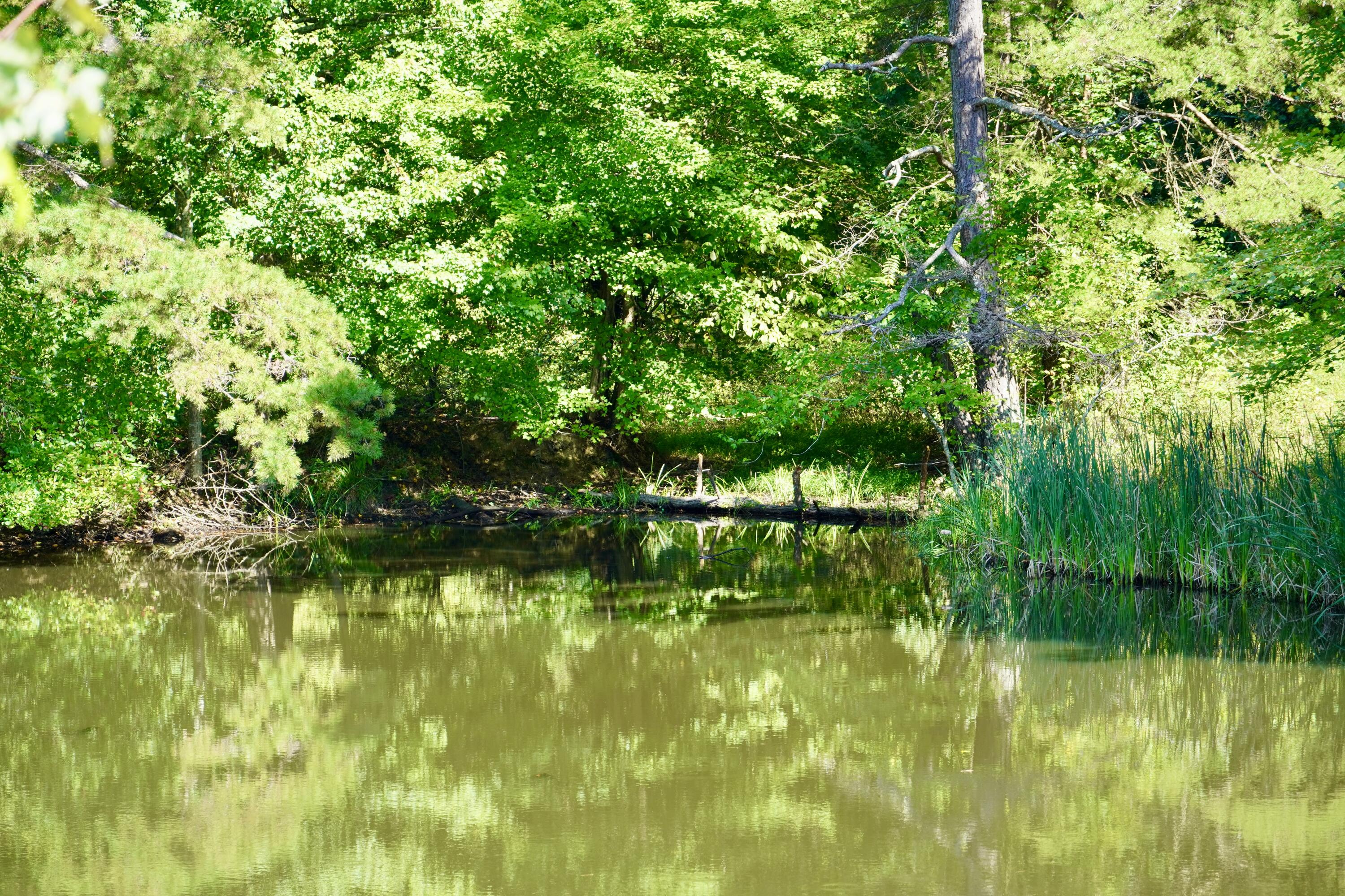 4100 Ky-511 Property Photo 19