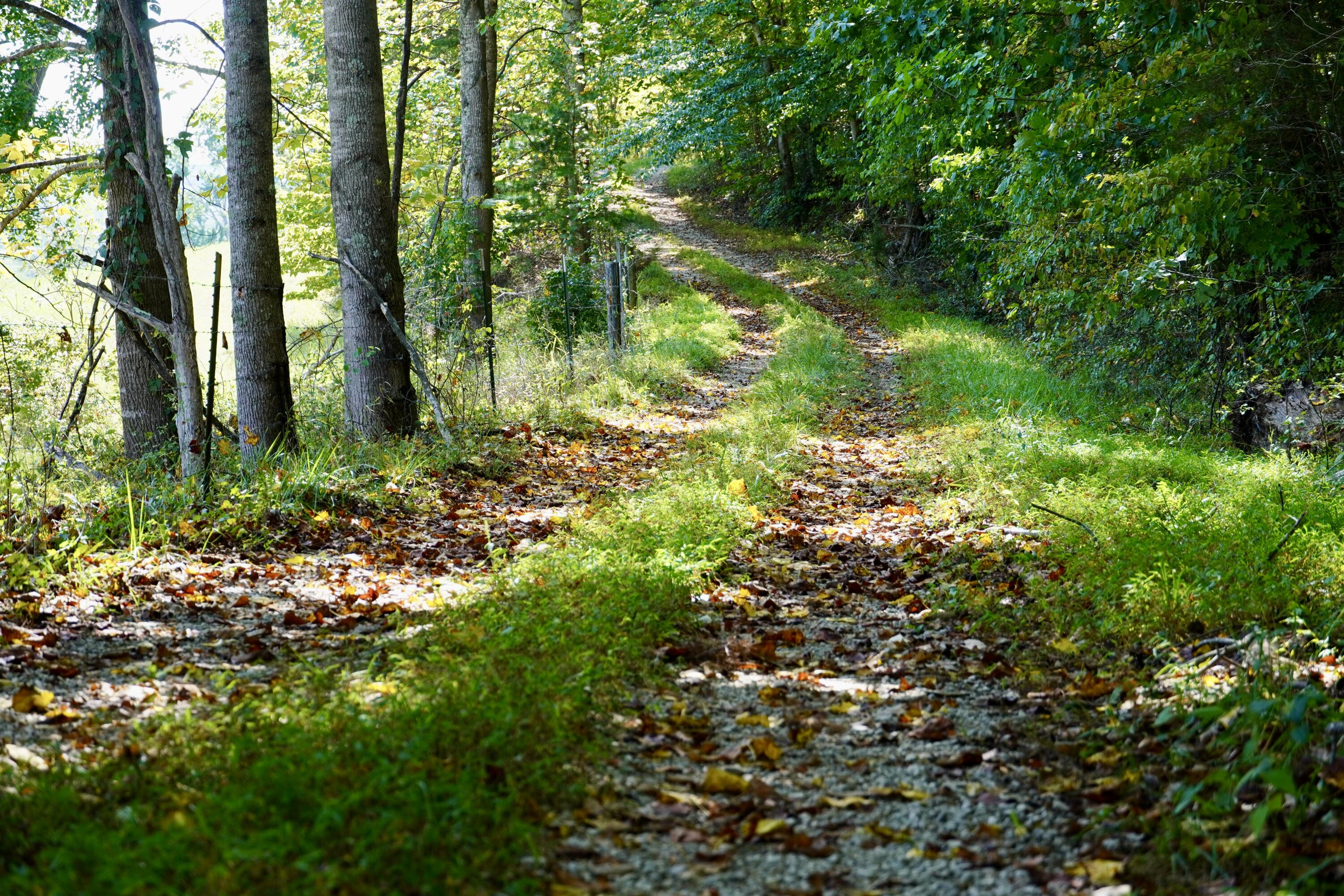 4100 Ky-511 Property Photo 20
