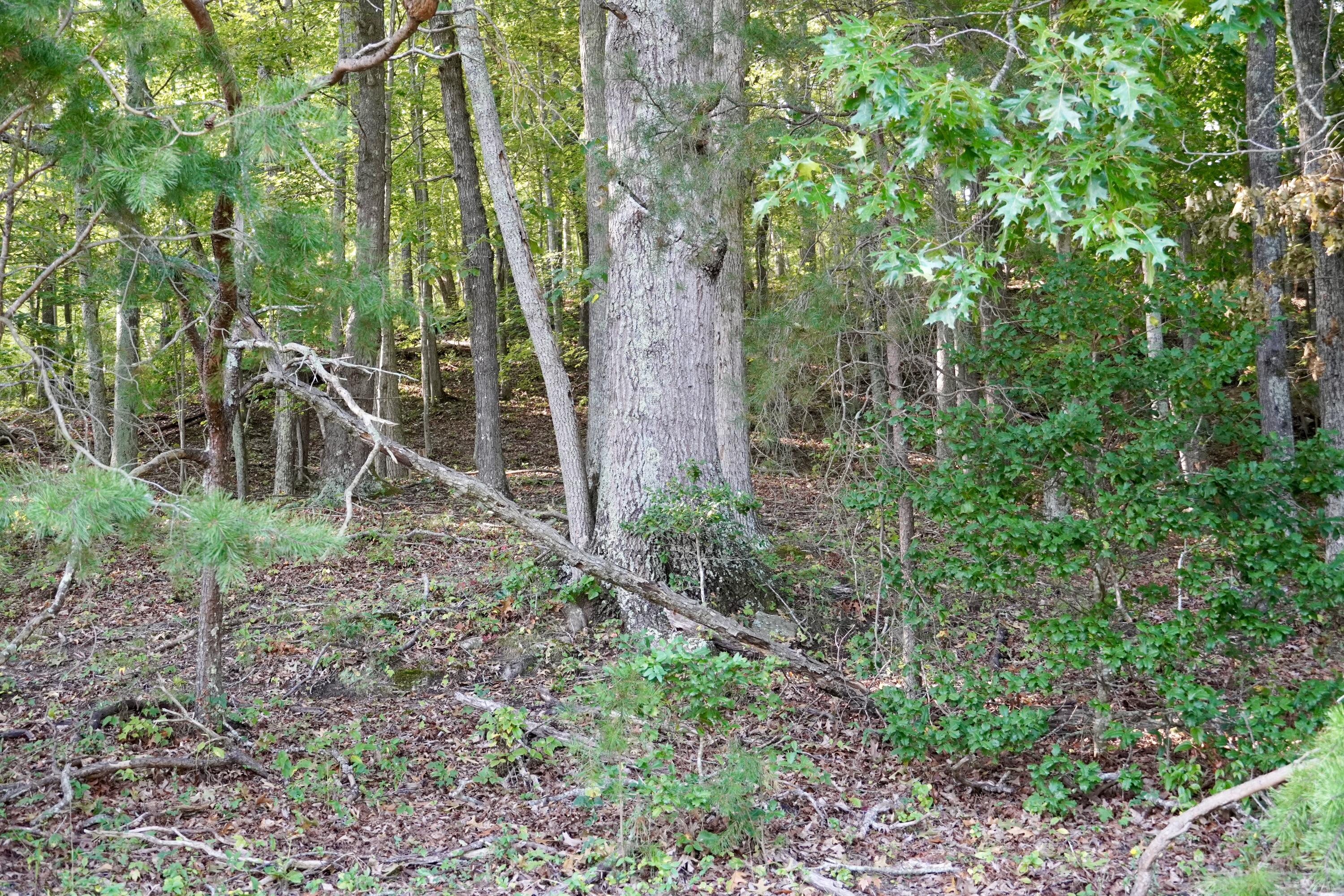 4100 Ky-511 Property Photo 21