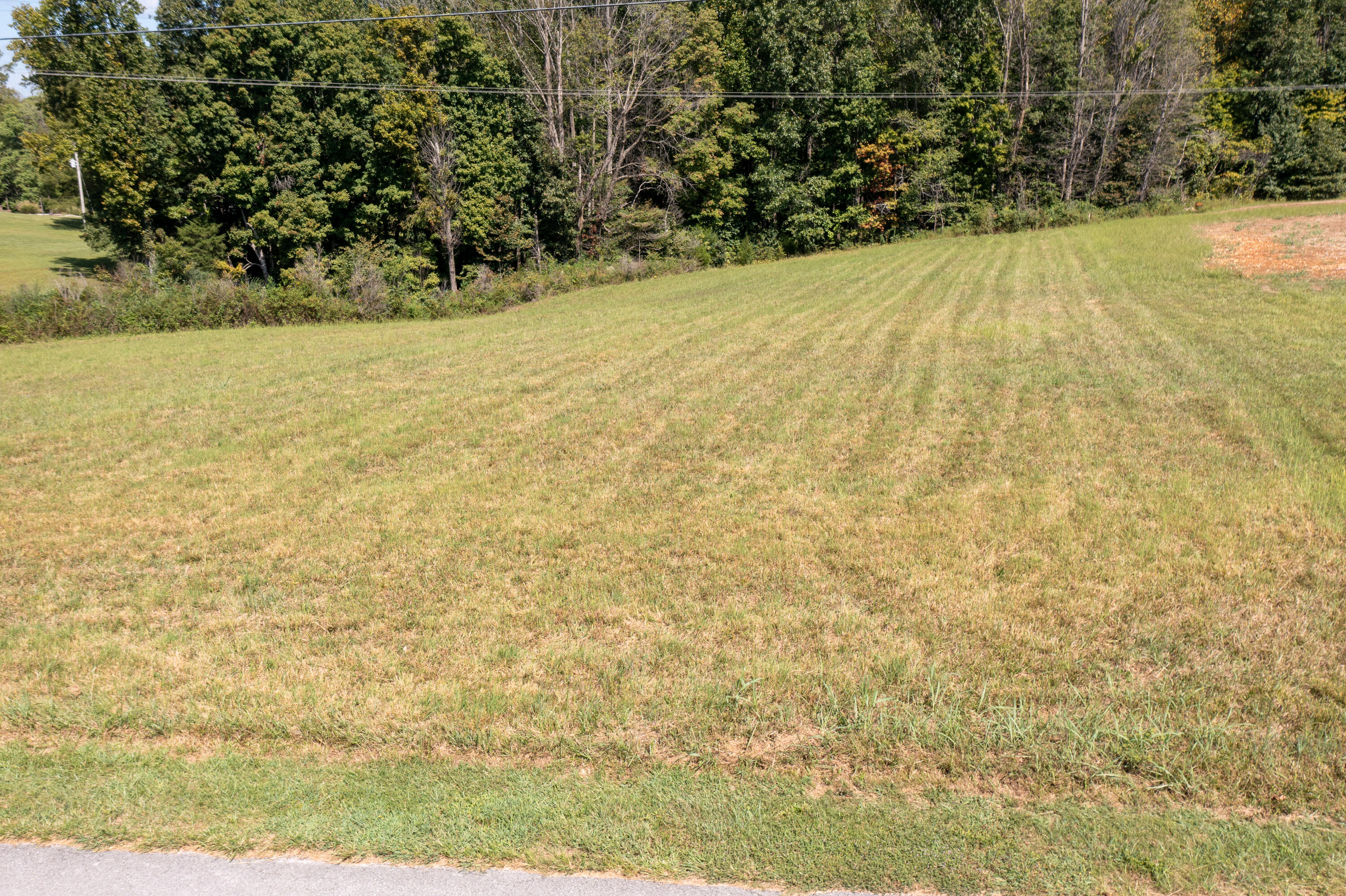 500 Delp Road Property Photo 15