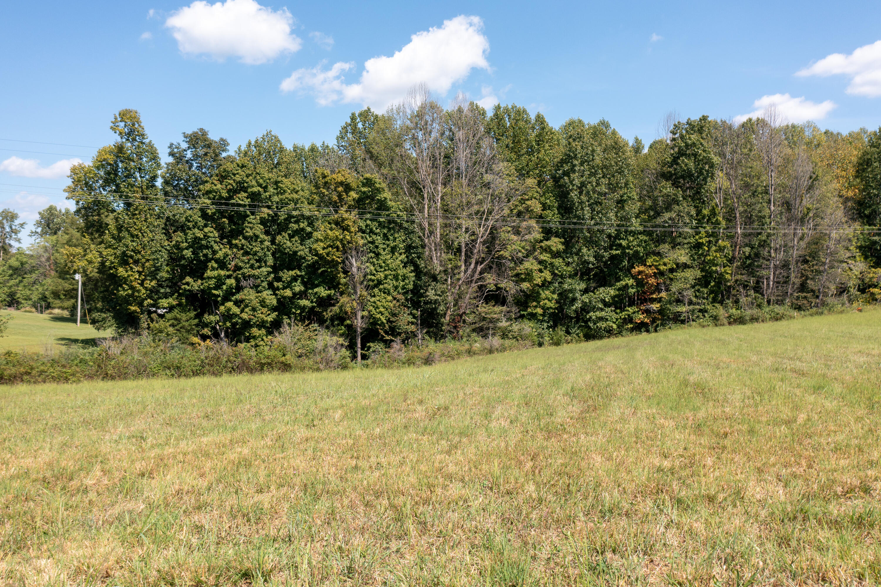 500 Delp Road Property Photo 23