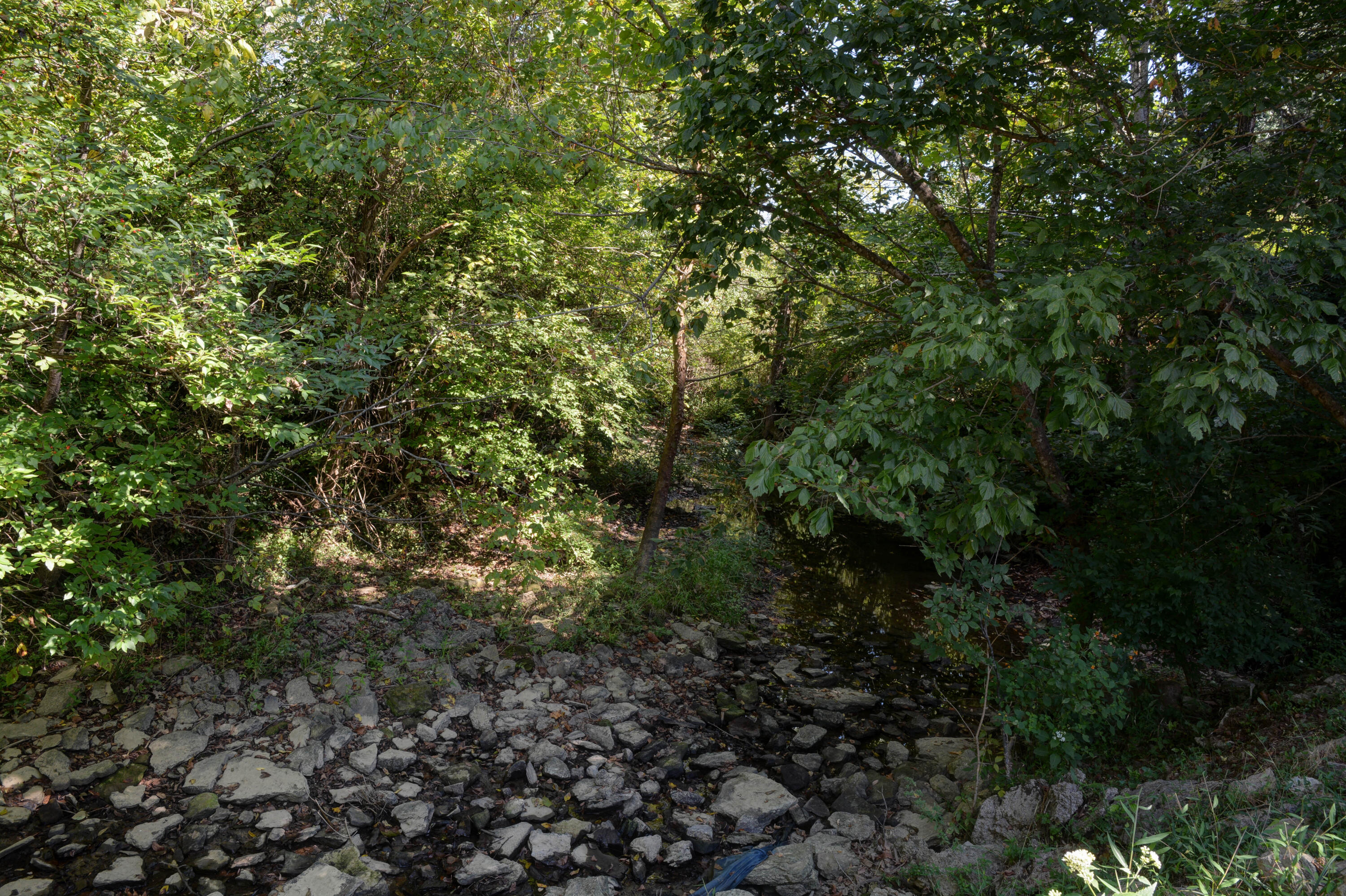 6590 Ironworks Road Property Photo 6