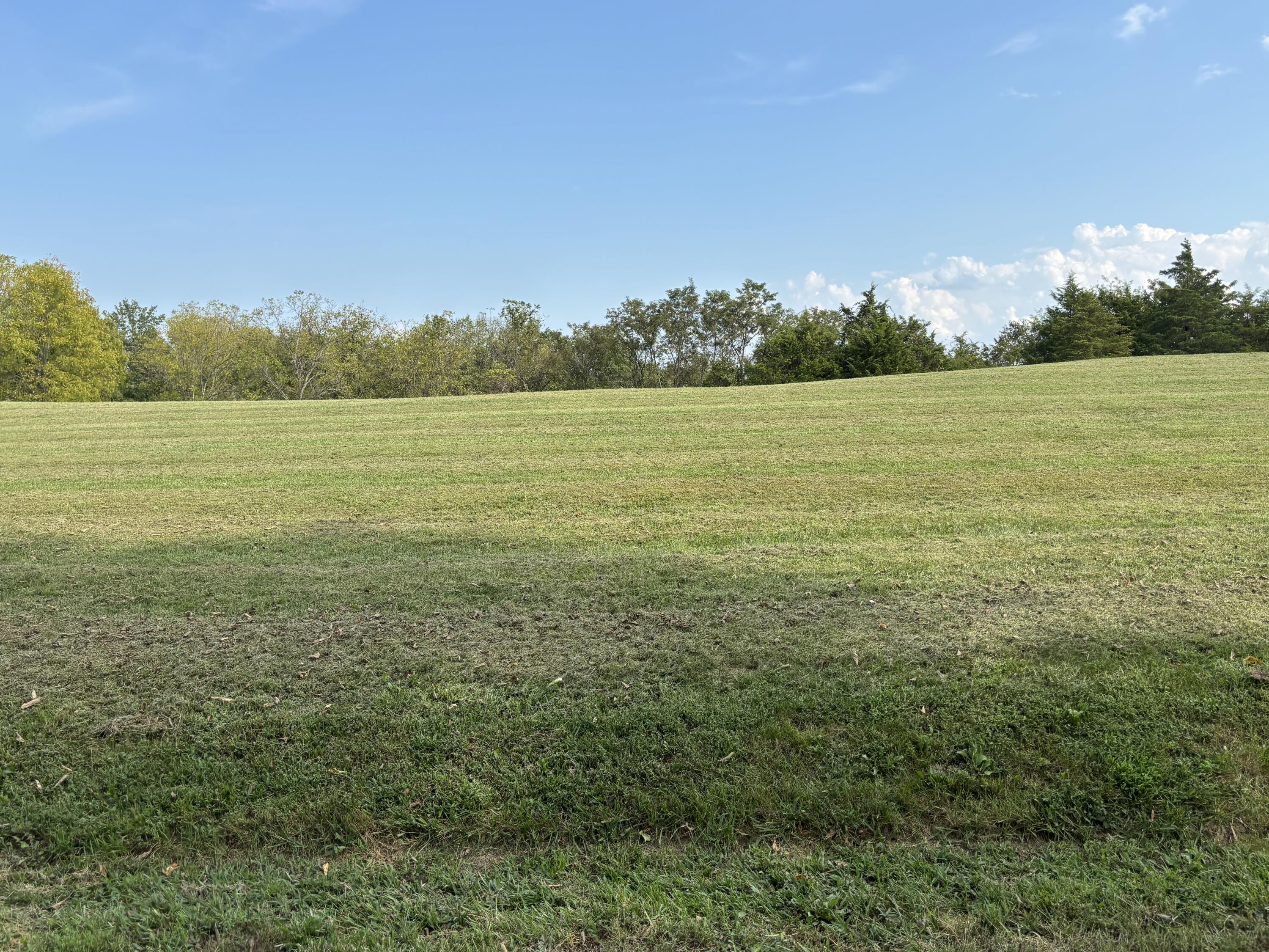 3926 Hogg Ridge Road Property Photo 15