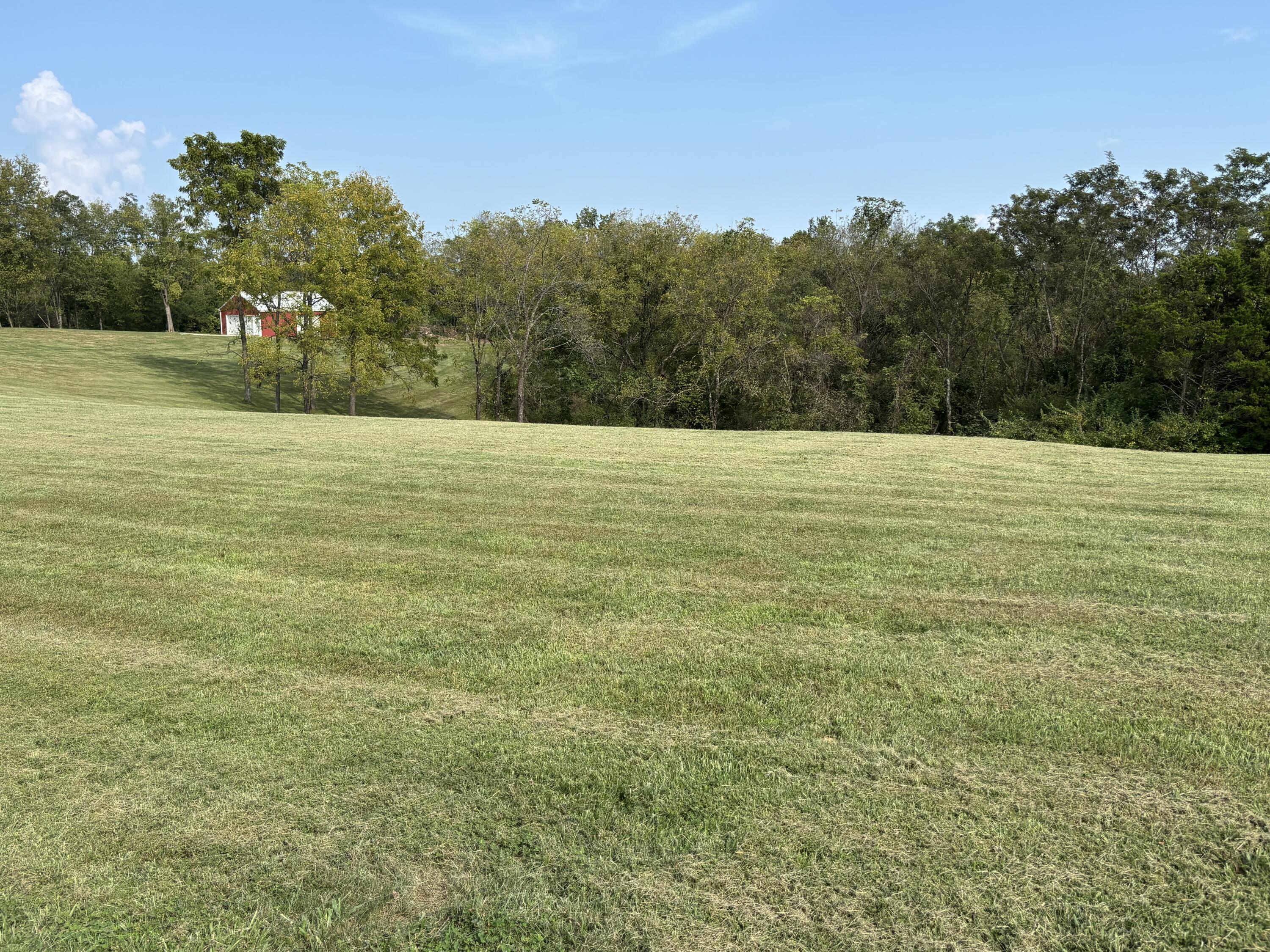 3926 Hogg Ridge Road Property Photo 16