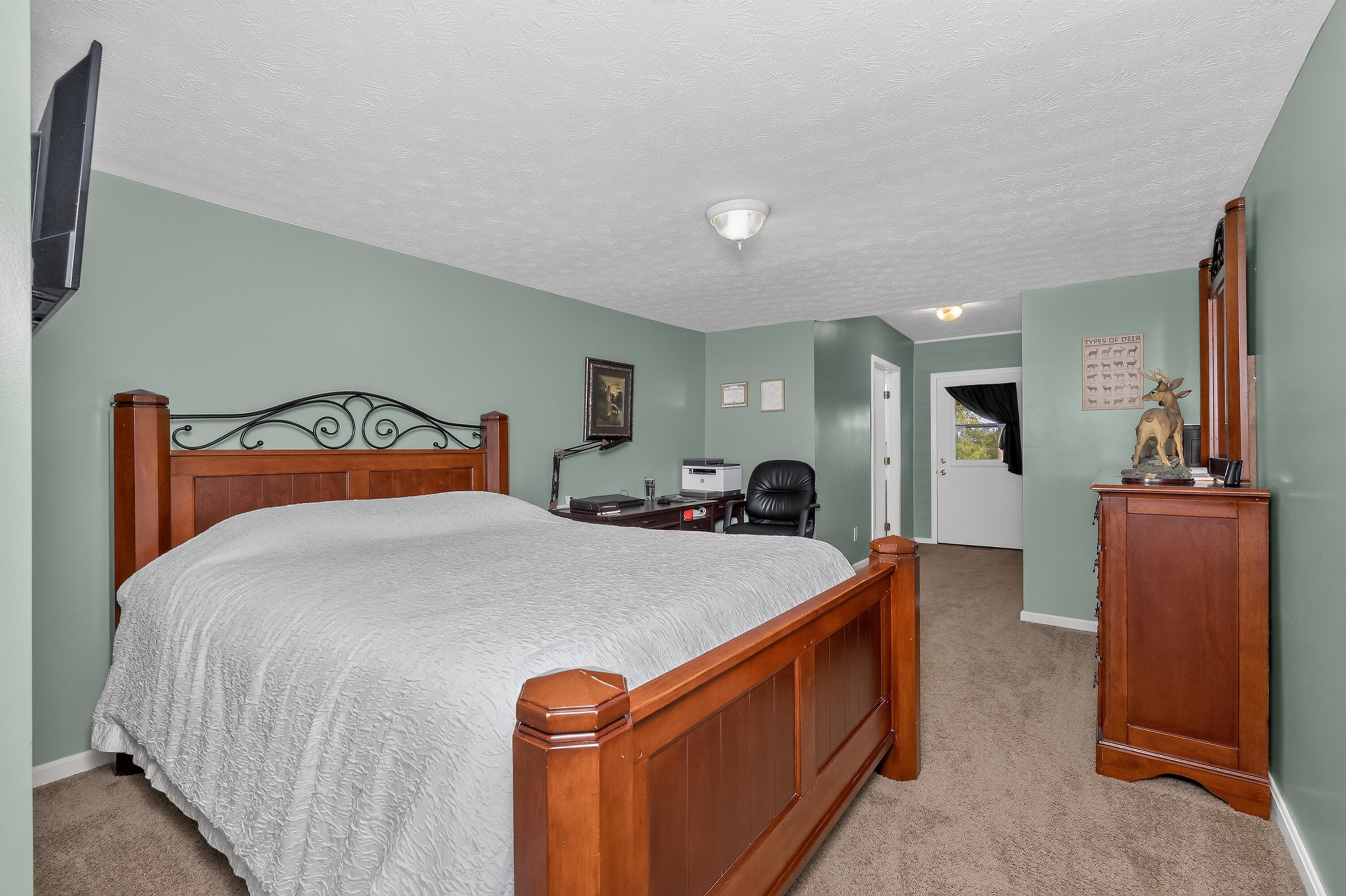 3926 Hogg Ridge Road Property Photo 32
