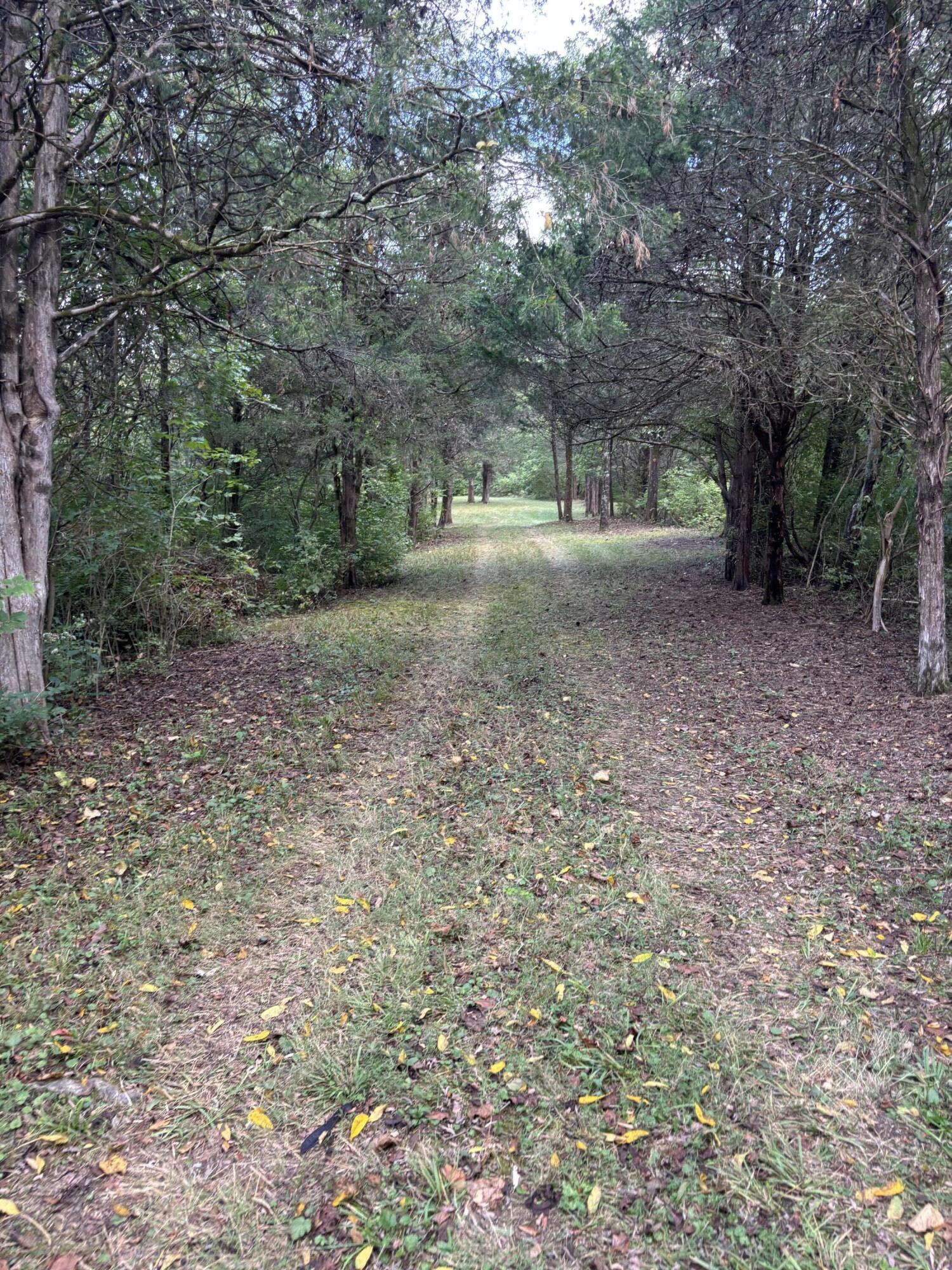 3926 Hogg Ridge Road Property Photo 44