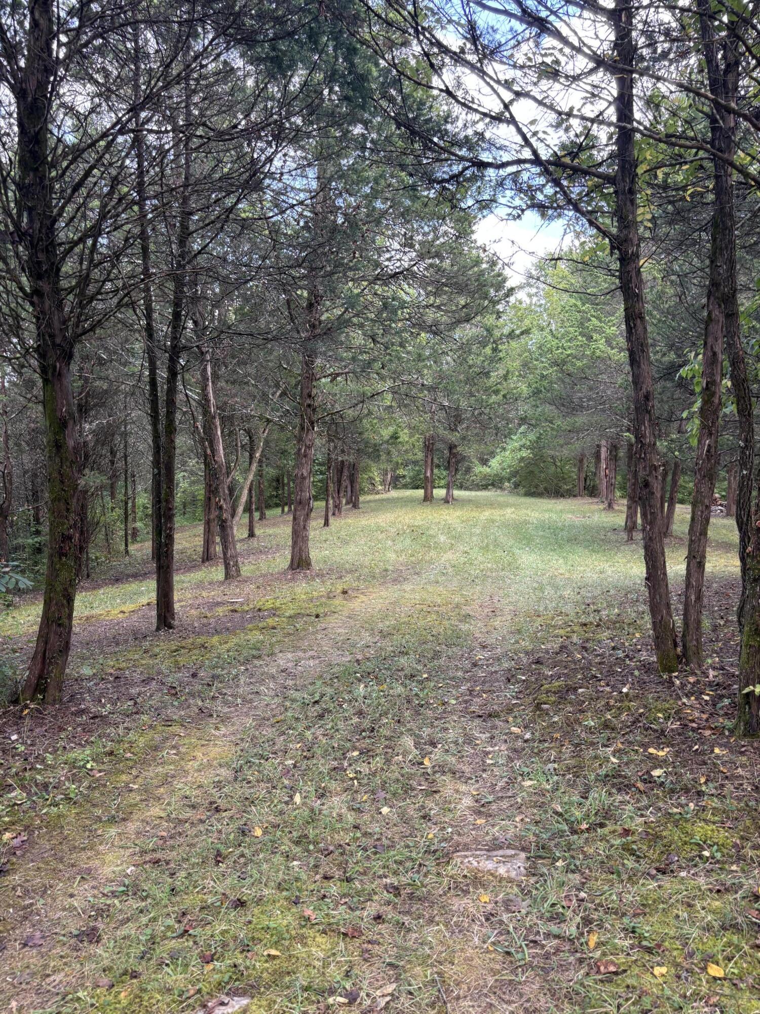 3926 Hogg Ridge Road Property Photo 46