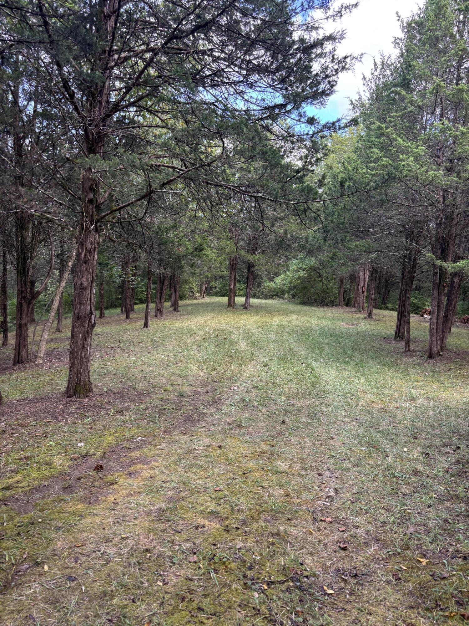 3926 Hogg Ridge Road Property Photo 48