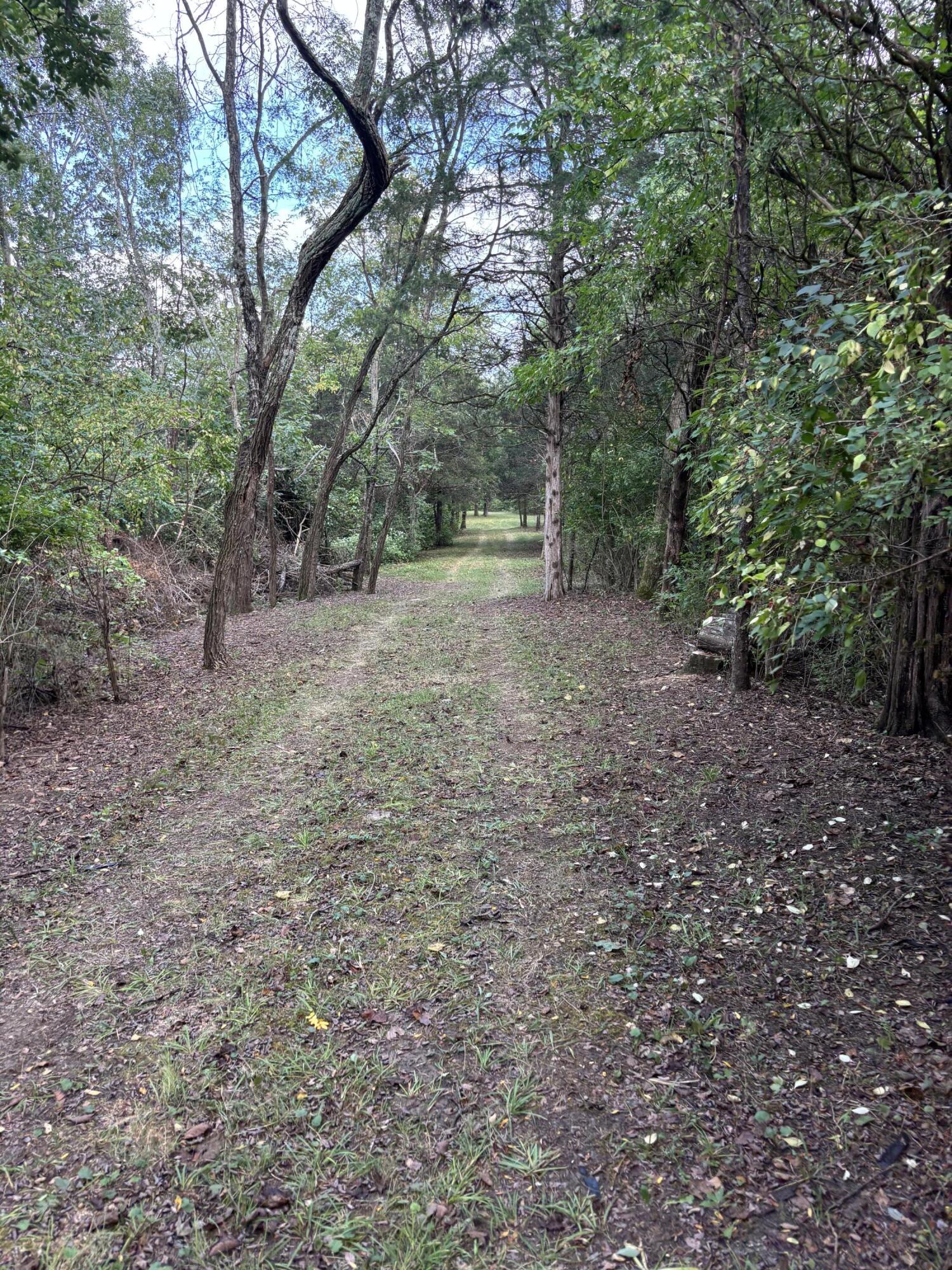 3926 Hogg Ridge Road Property Photo 50