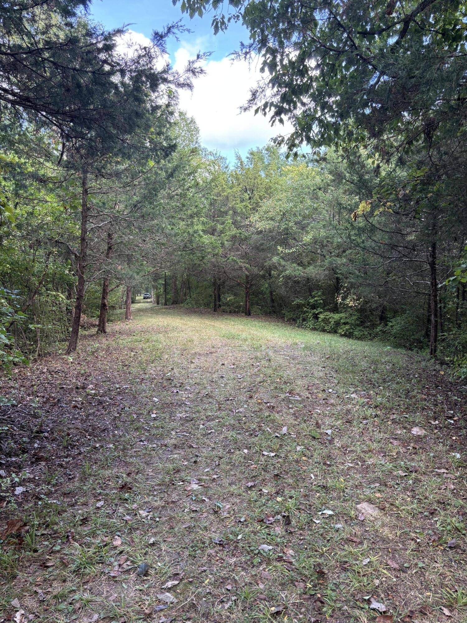 3926 Hogg Ridge Road Property Photo 52
