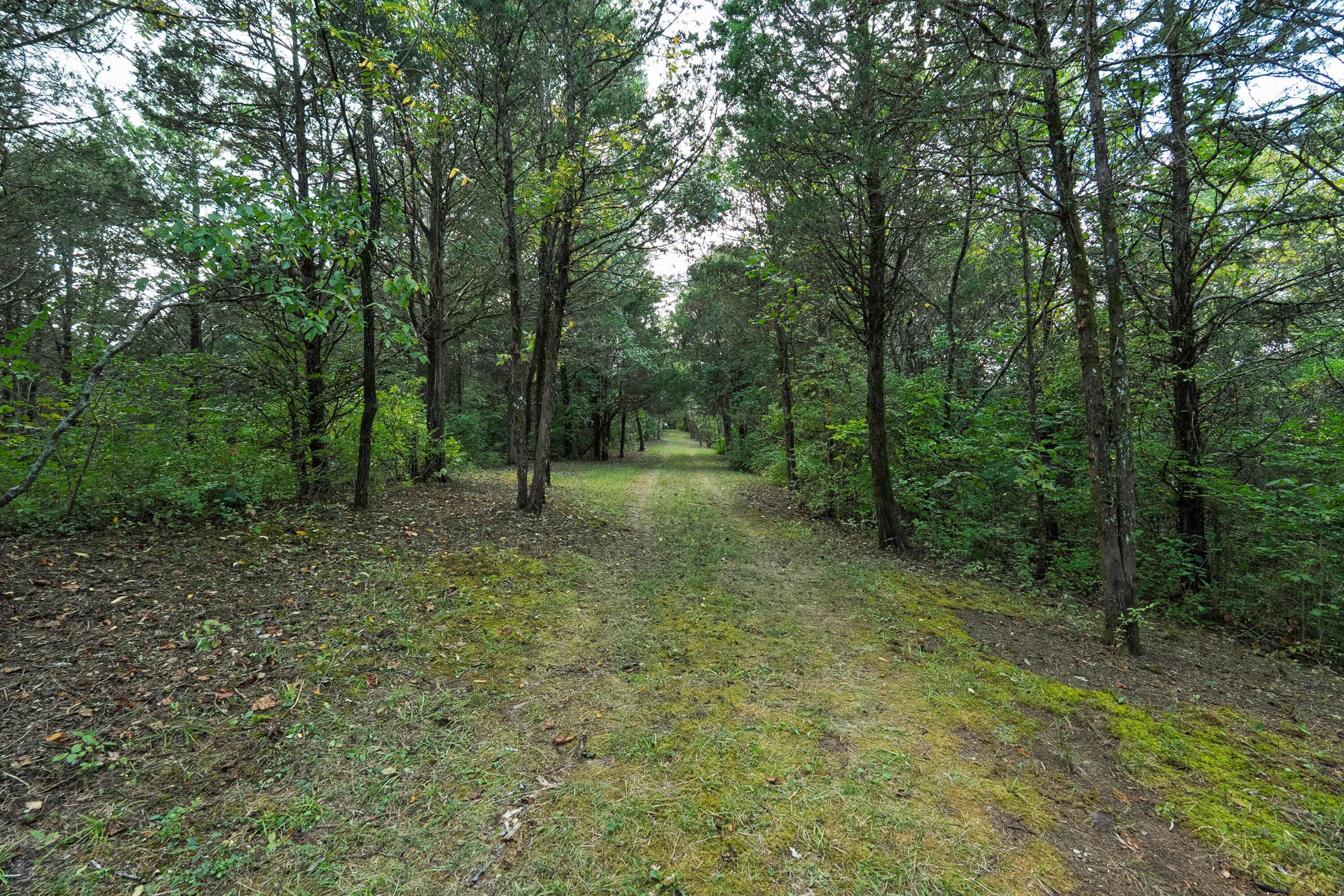 3926 Hogg Ridge Road Property Photo 54