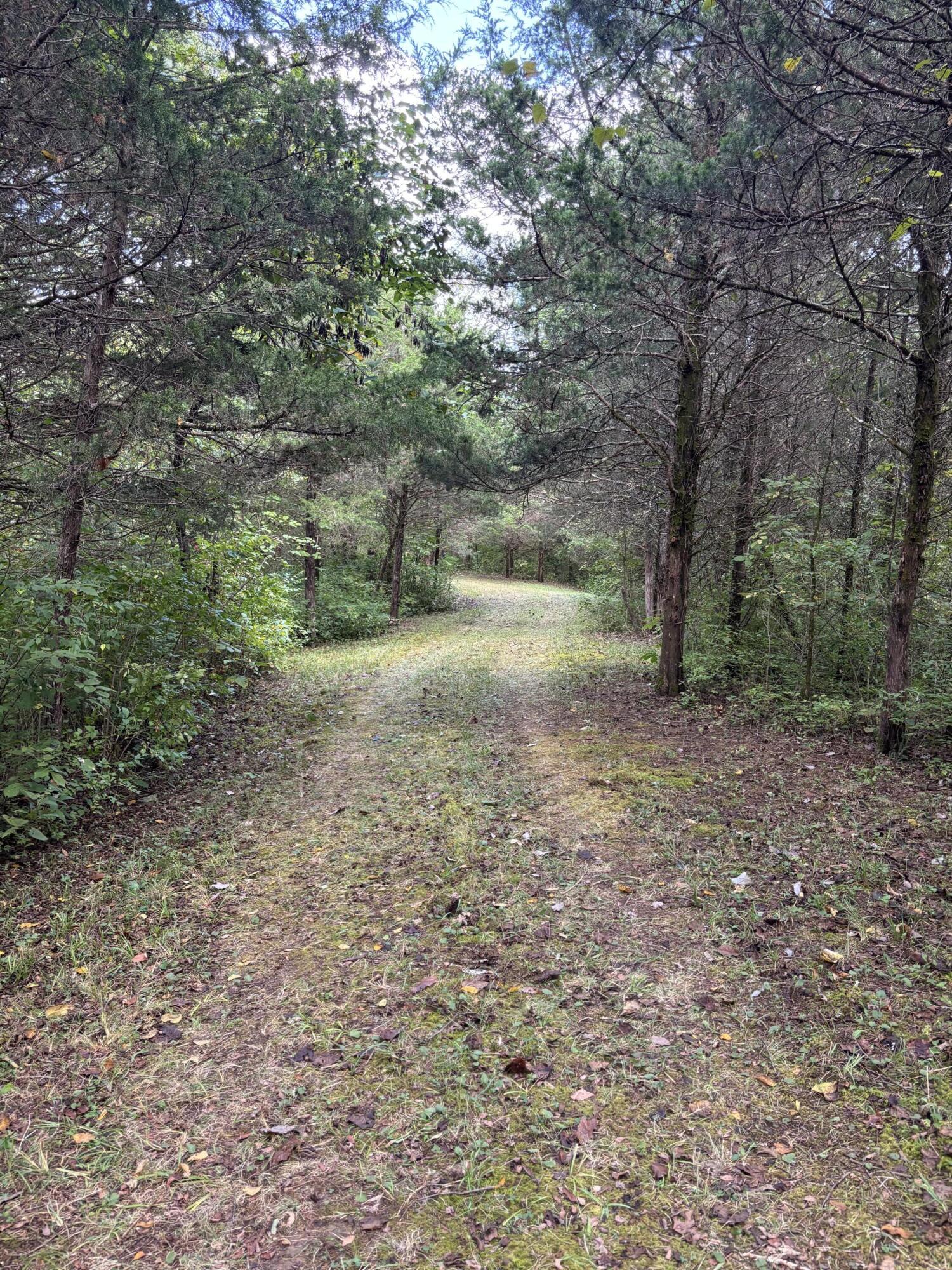 3926 Hogg Ridge Road Property Photo 55