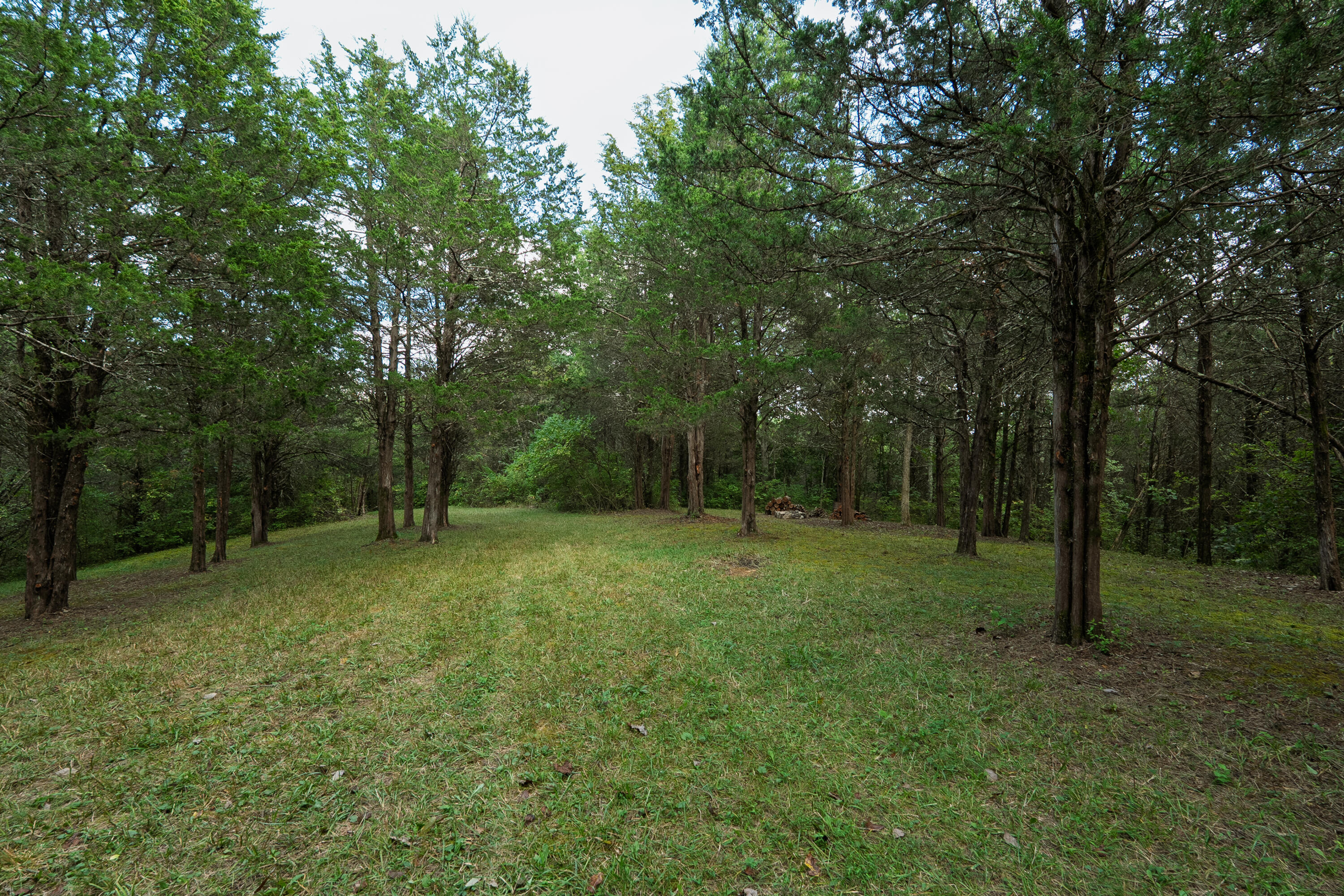 3926 Hogg Ridge Road Property Photo 57