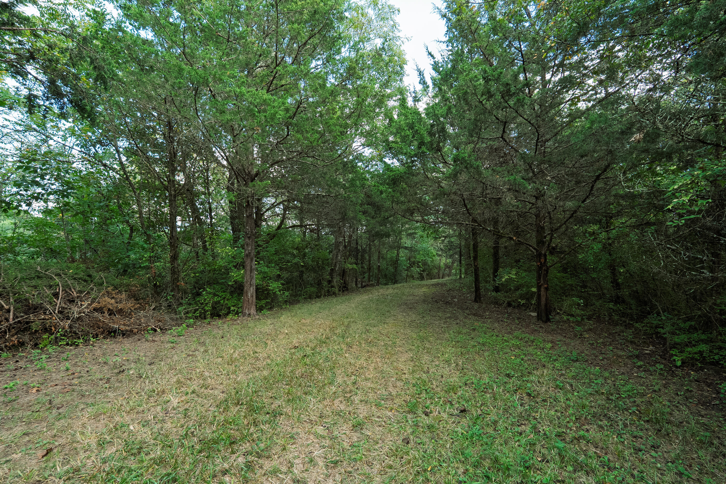 3926 Hogg Ridge Road Property Photo 59