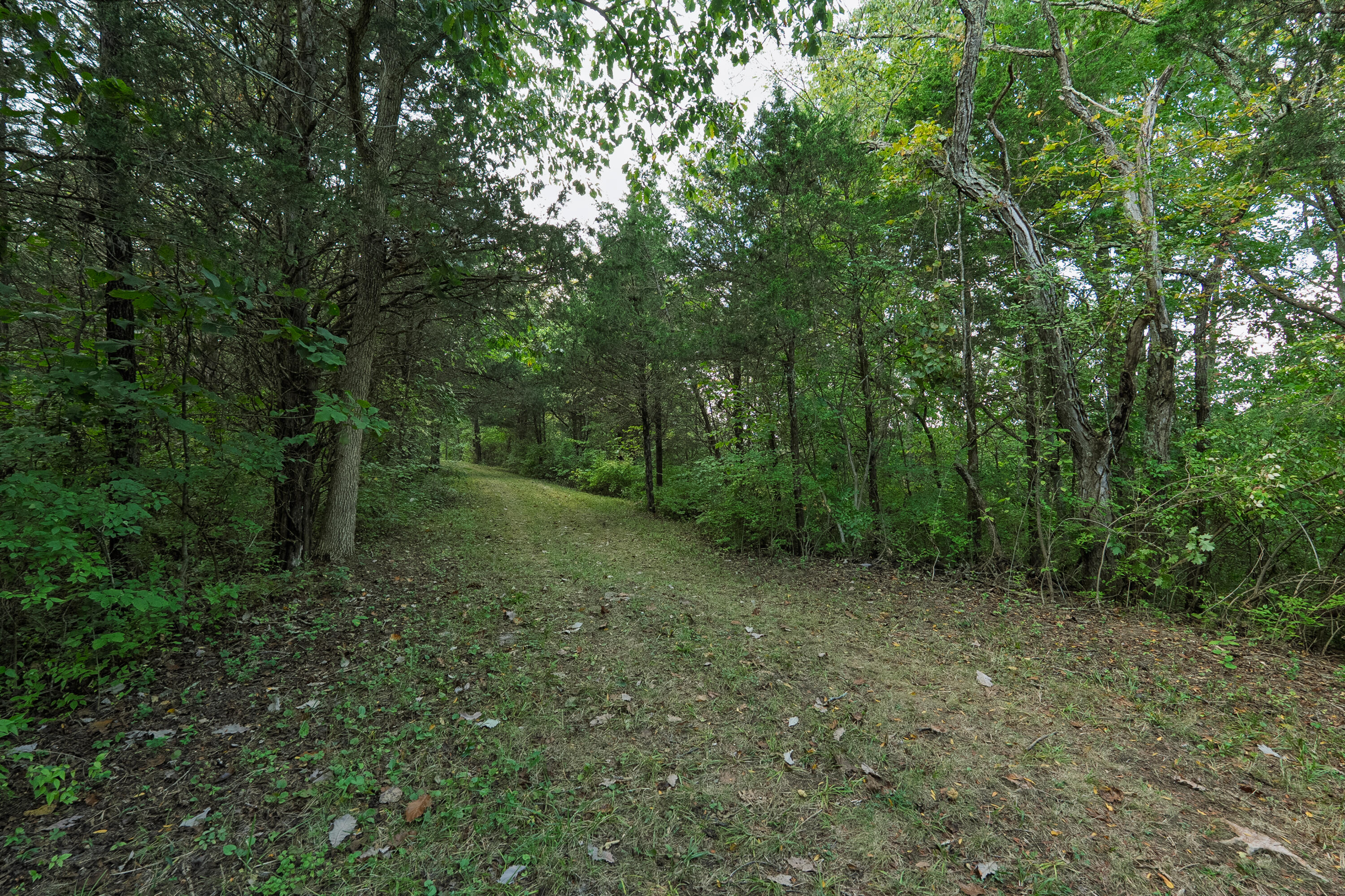 3926 Hogg Ridge Road Property Photo 60