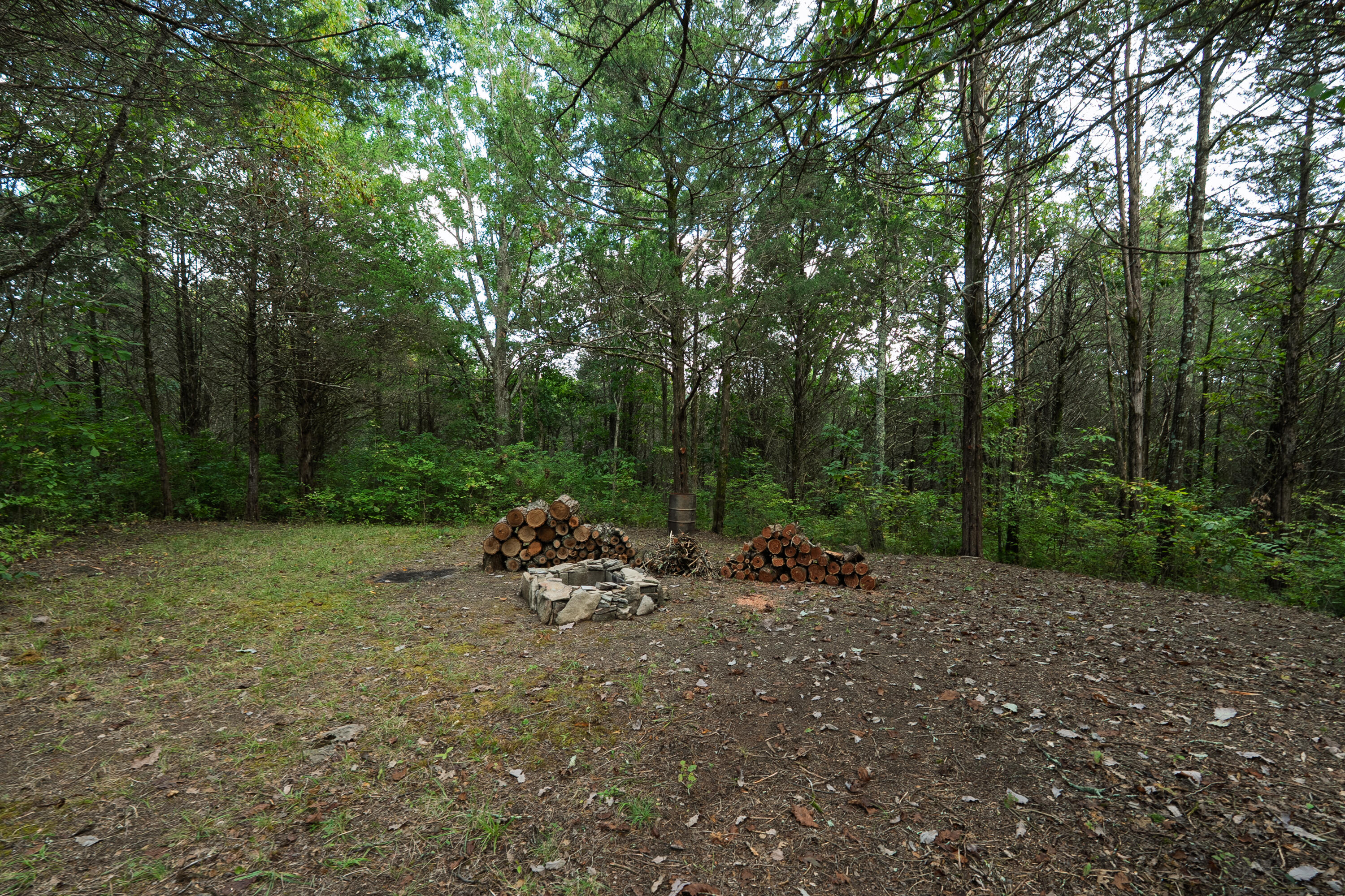 3926 Hogg Ridge Road Property Photo 61
